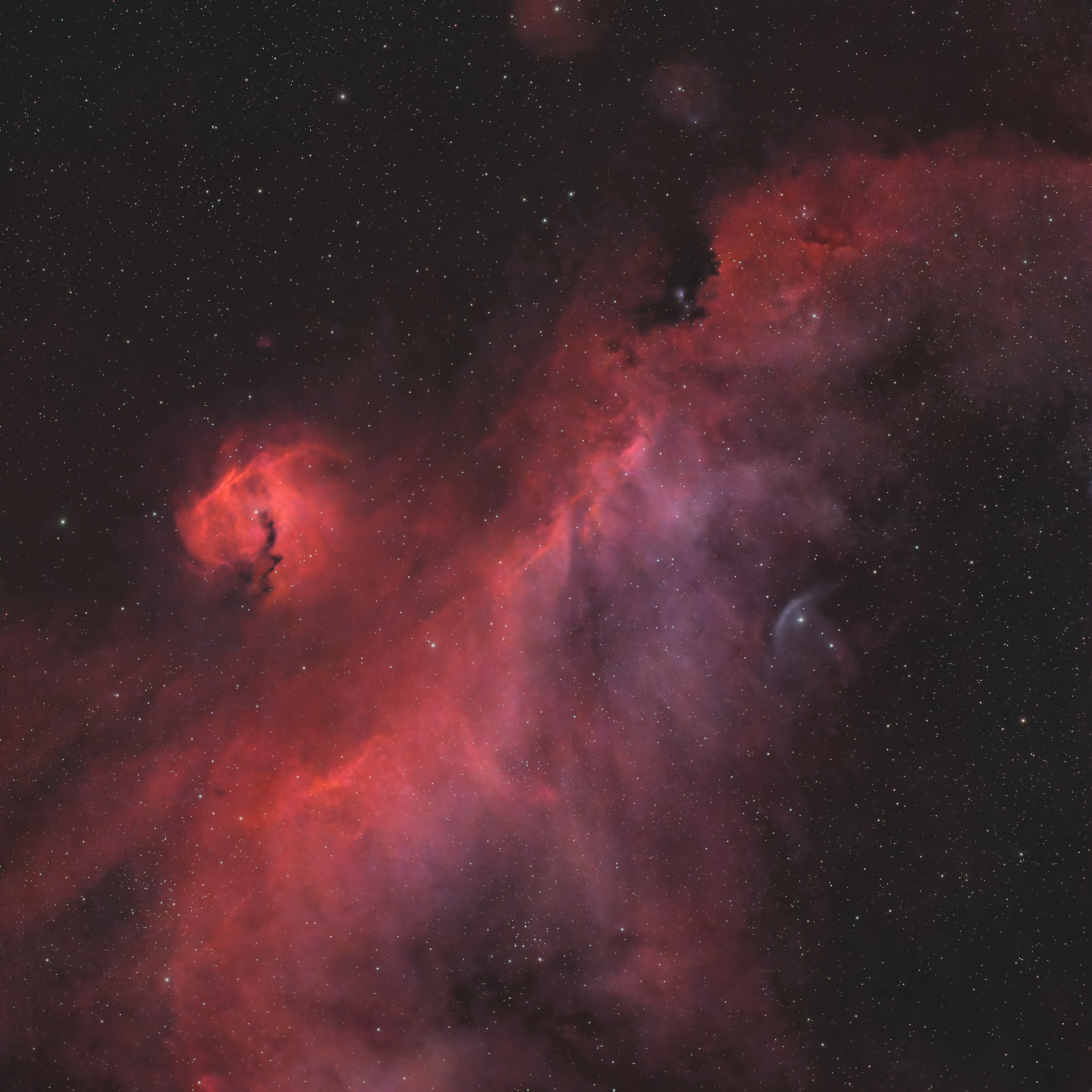 Seagull Nebula