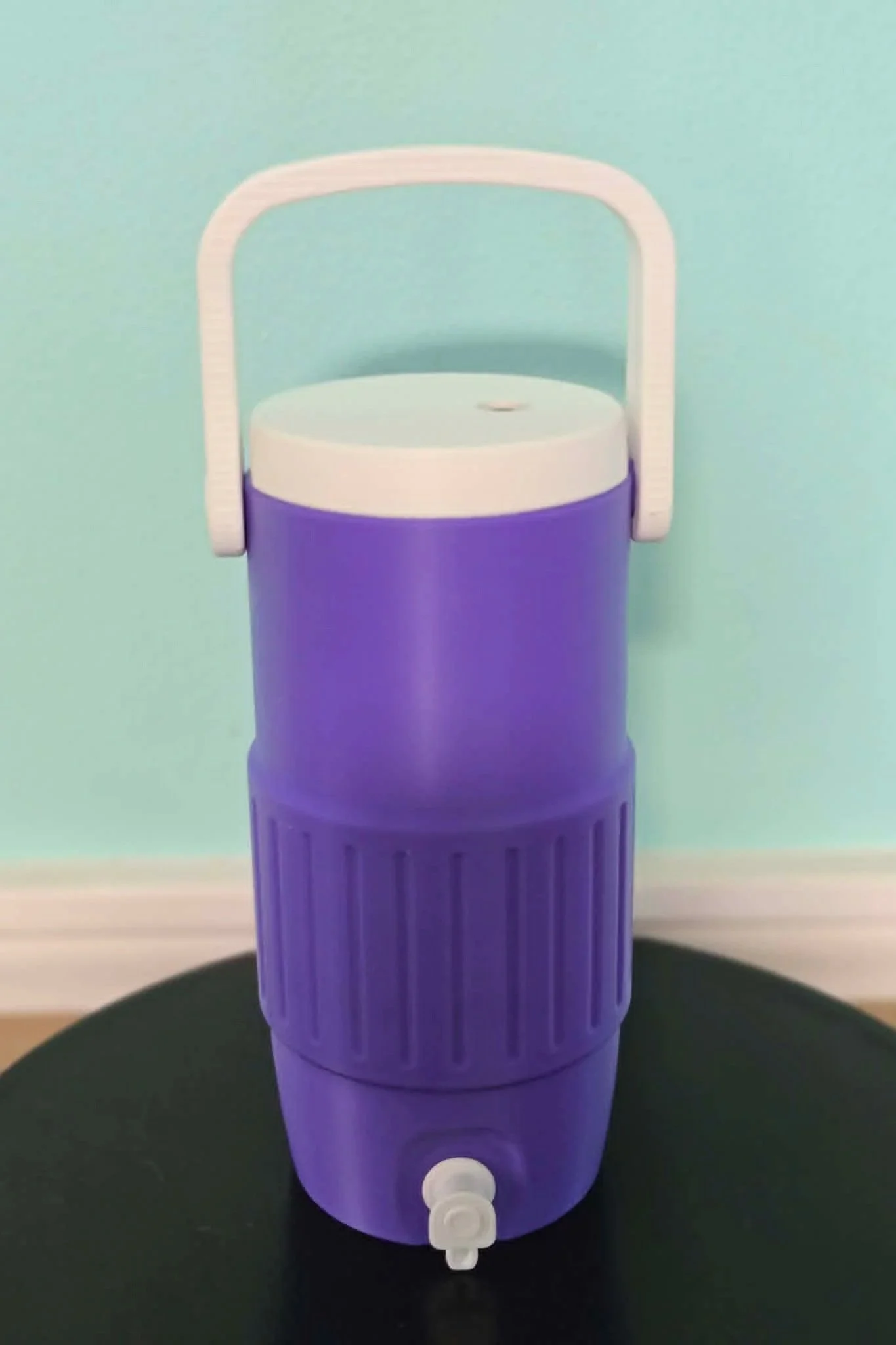 Cooler Jug Can Koozie | 12oz Skinny Can Holder