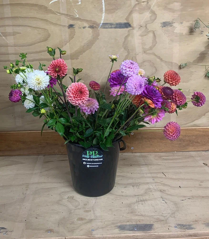 Seasonal Bloom Bucket