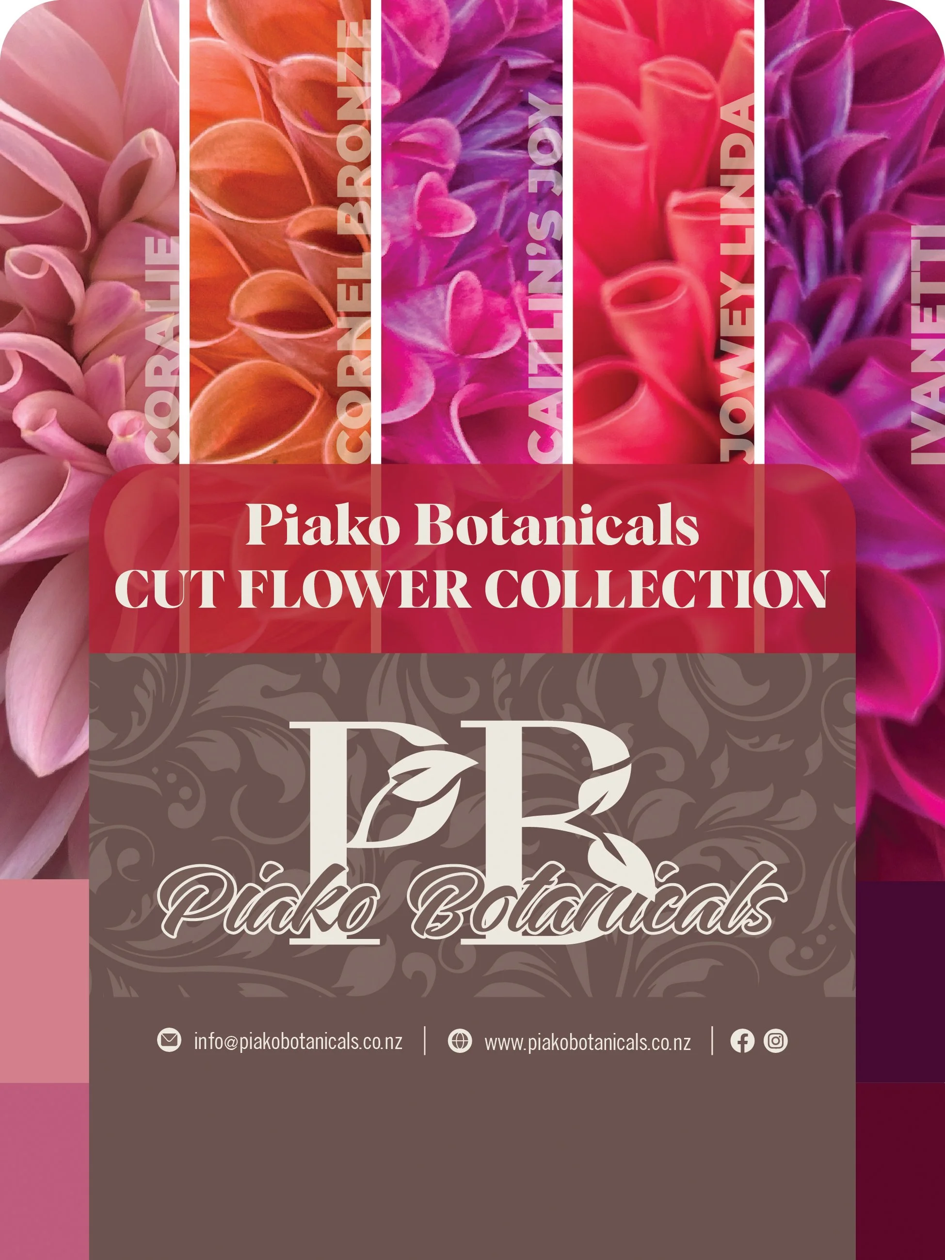 Piako Botanicals Cut Flower Collection