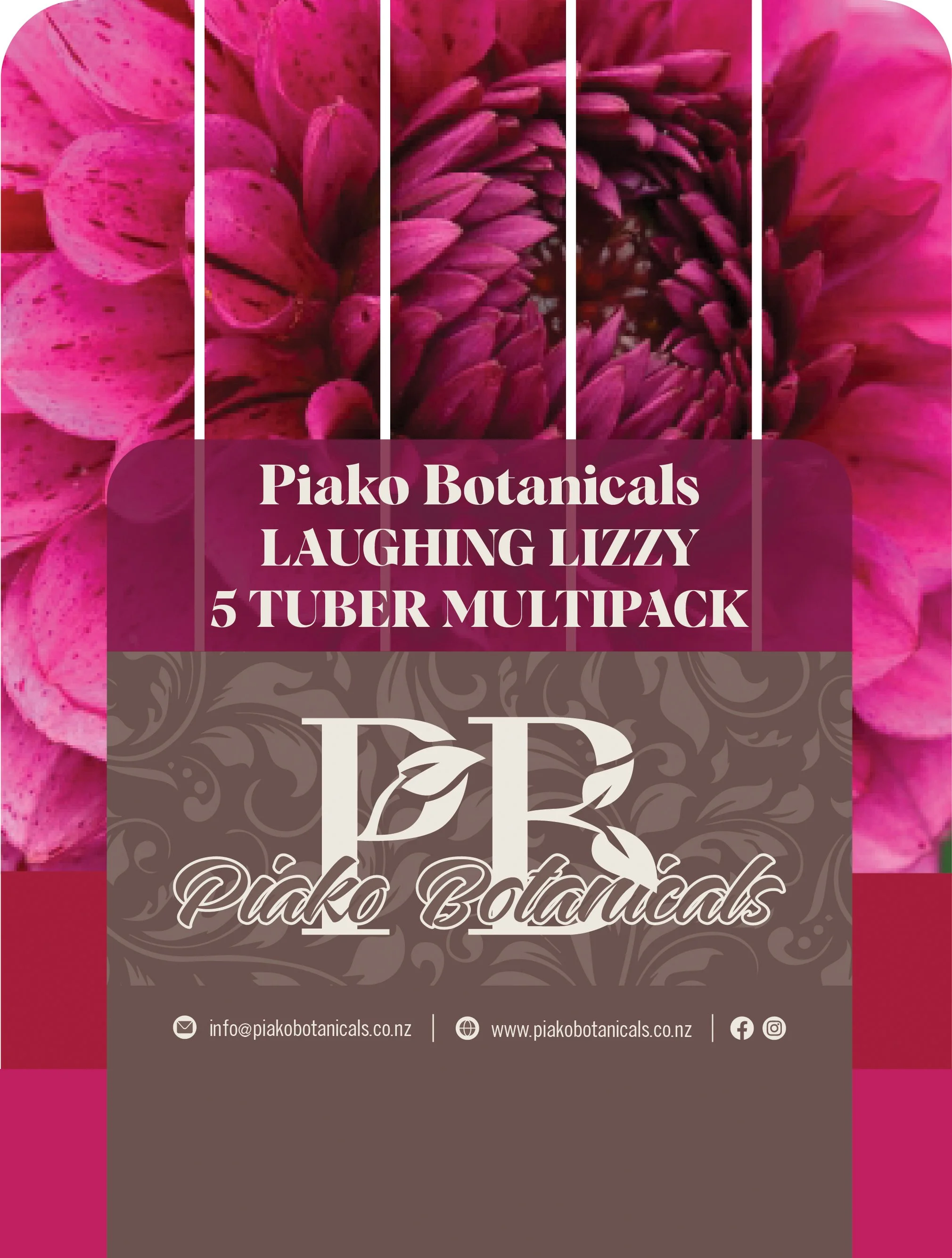 Laughing Lizzy - 5 Tuber Multipack