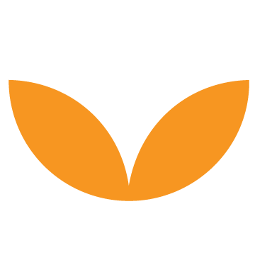 Abstract icon of two orange leaves, a playful design element of the Stanbridge brand.