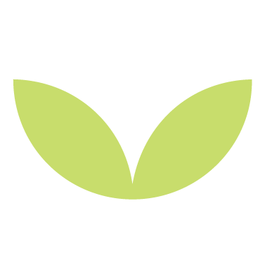 Geometric green icon that looks like two leaves, a playful design element of the Stanbridge brand.
