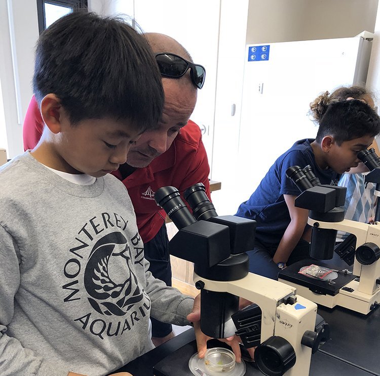 A man with sunglasses on his head is teaching a young boy about a microscope in a classroom or museum. The boy is looking through the microscope while a girl is using another microscope nearby.