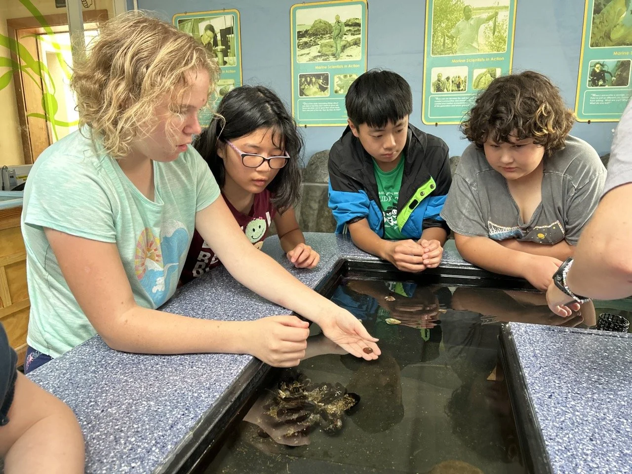 Group of children and a woman observing aquatic animals in a tank at an educational exhibit.