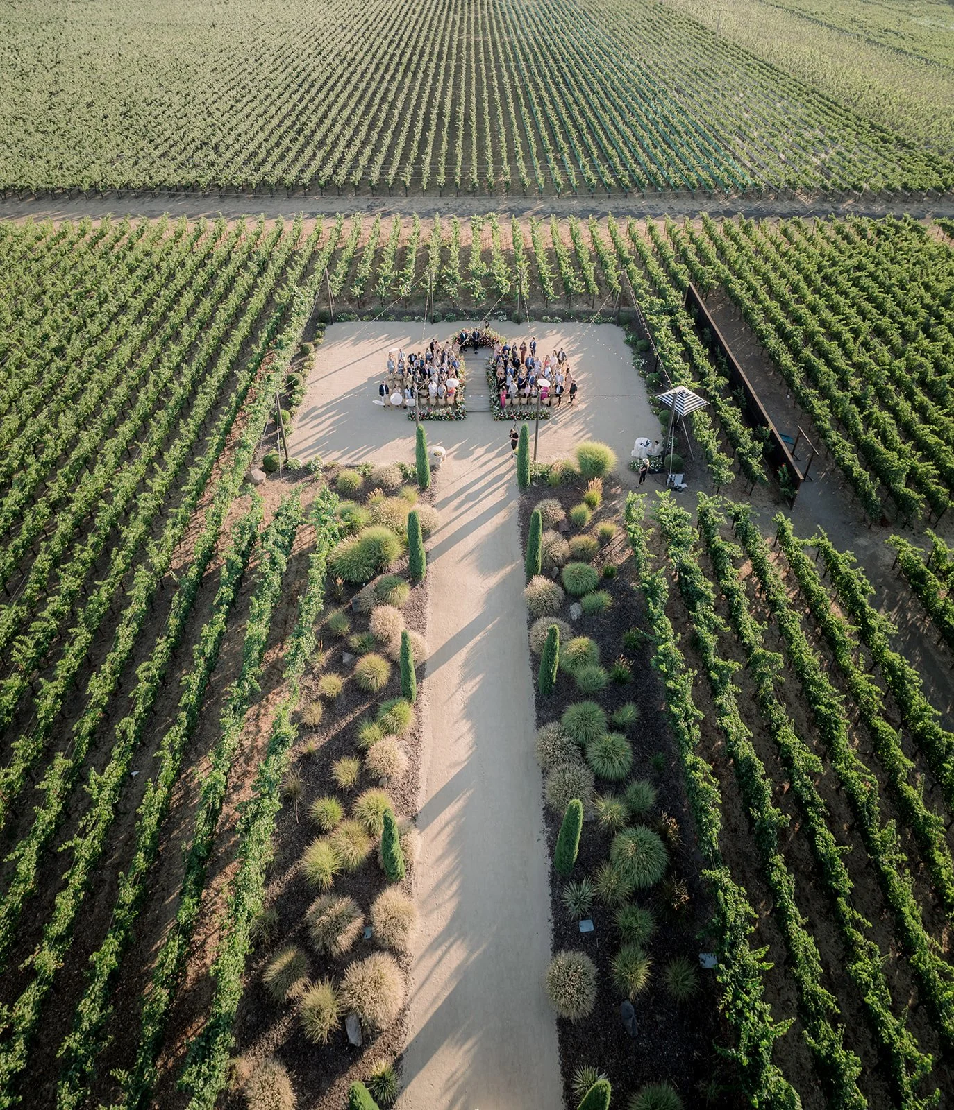 Cole Drake Events Napa Wedding Planners | Tre Posti Weddings | Clane Gessel Studio Photography  0 (3).jpg