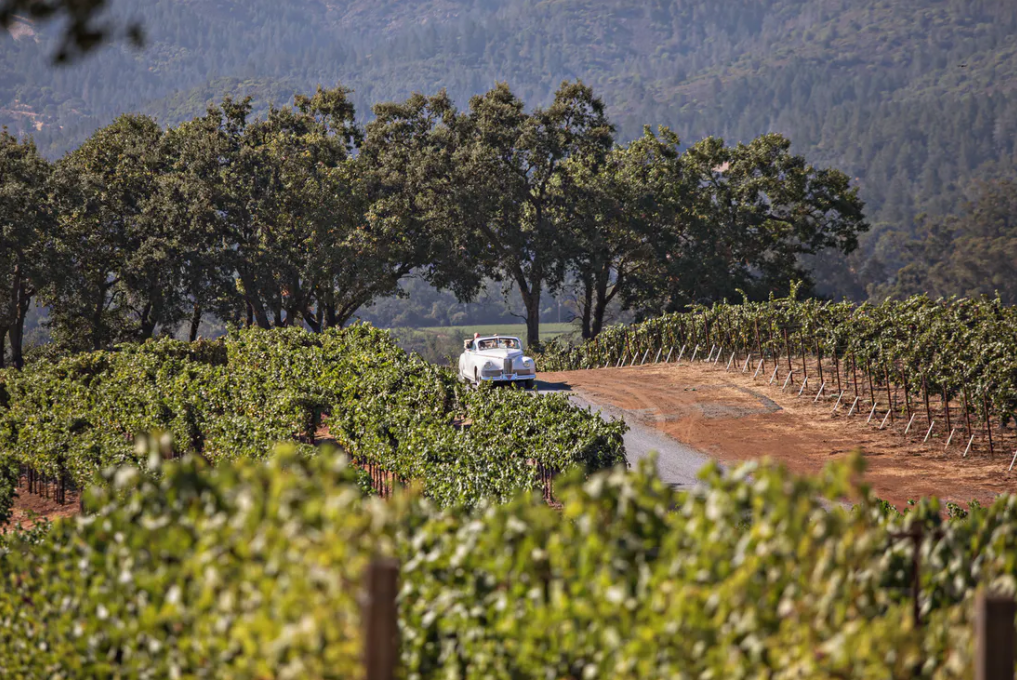 Winery10.png