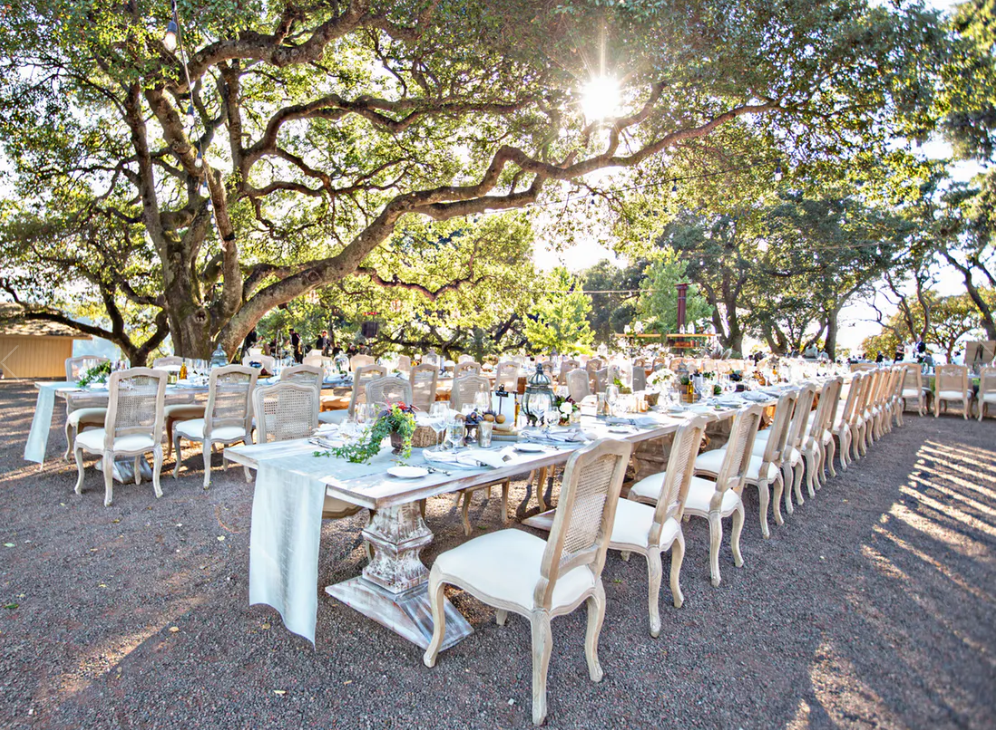 Classic Sonoma Valley Winery Wedding