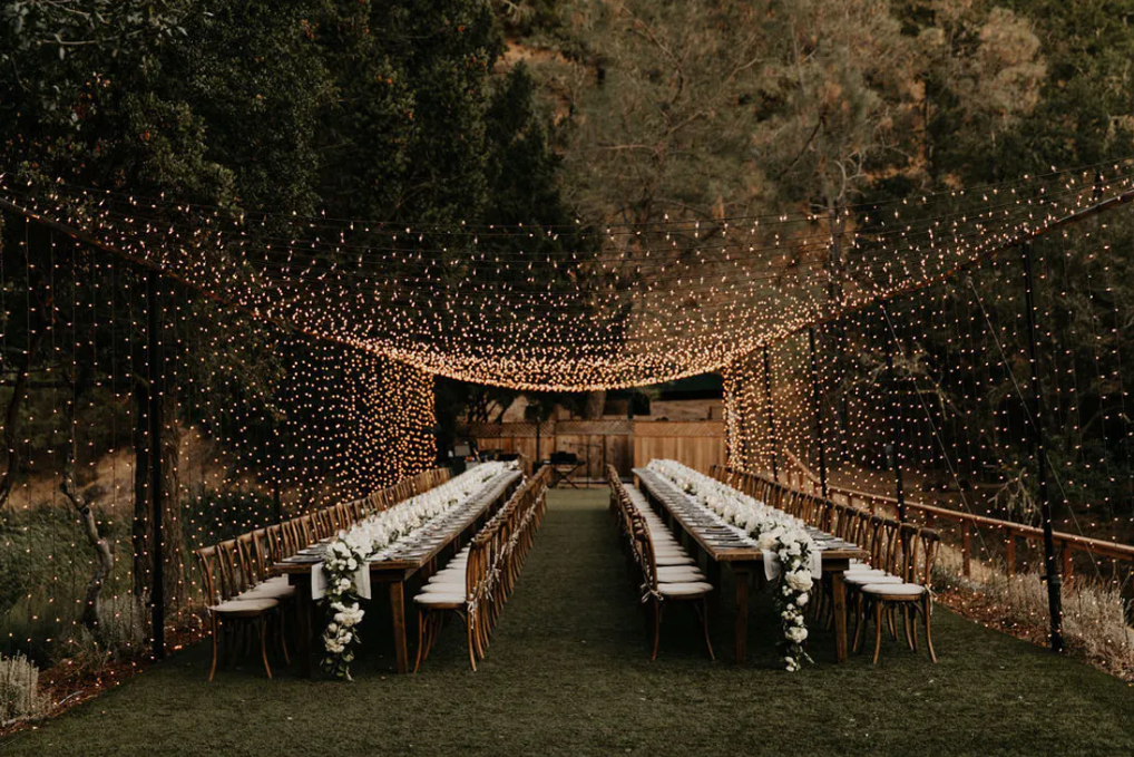 WeddingLights.png