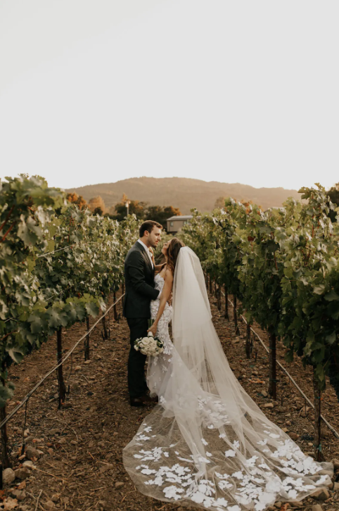WeddingLights6.png