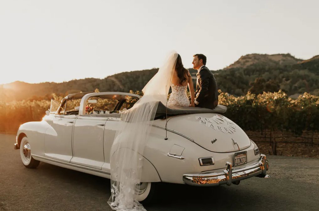 WeddingLights7.png