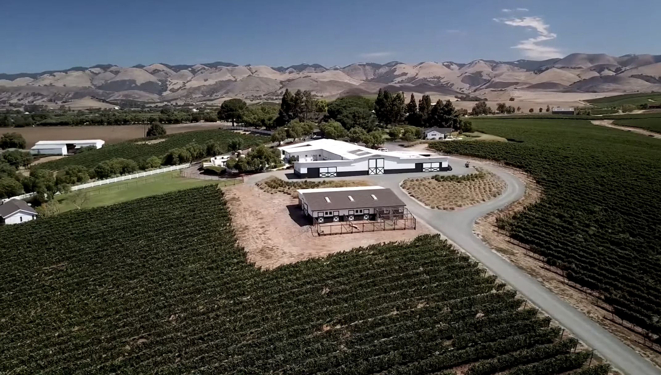 Wine Country Outdoor Wedding 
