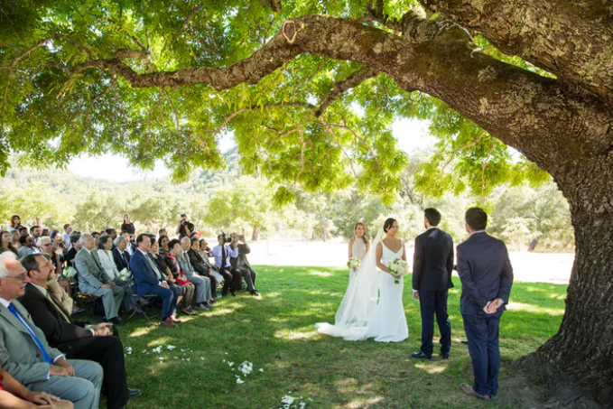 An Outdoor Earth-Toned Napa Wedding