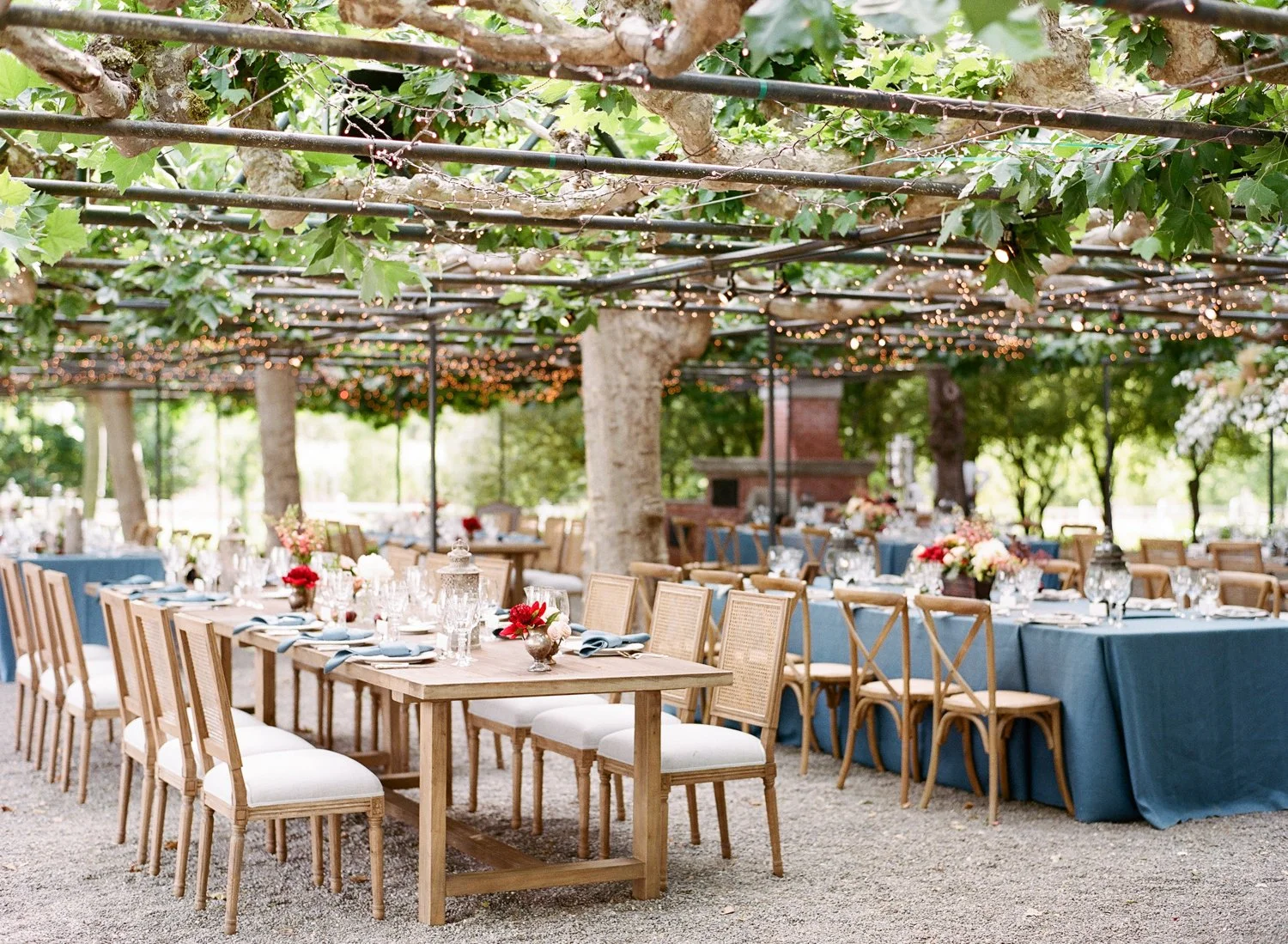 Casey & Robbie A Wedding at Beaulieu Vineyard