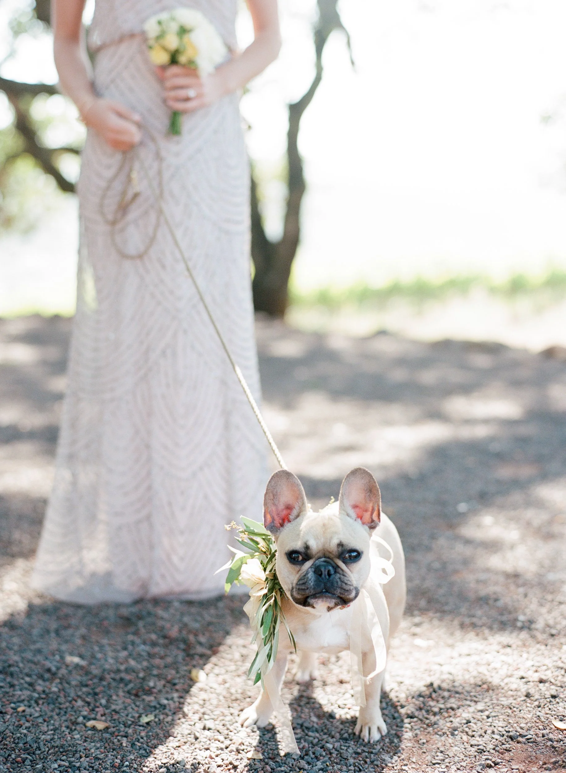 Kunde Winery Napa Wedding Cole Drake Events Wedding and Event Design 9 (1).jpg