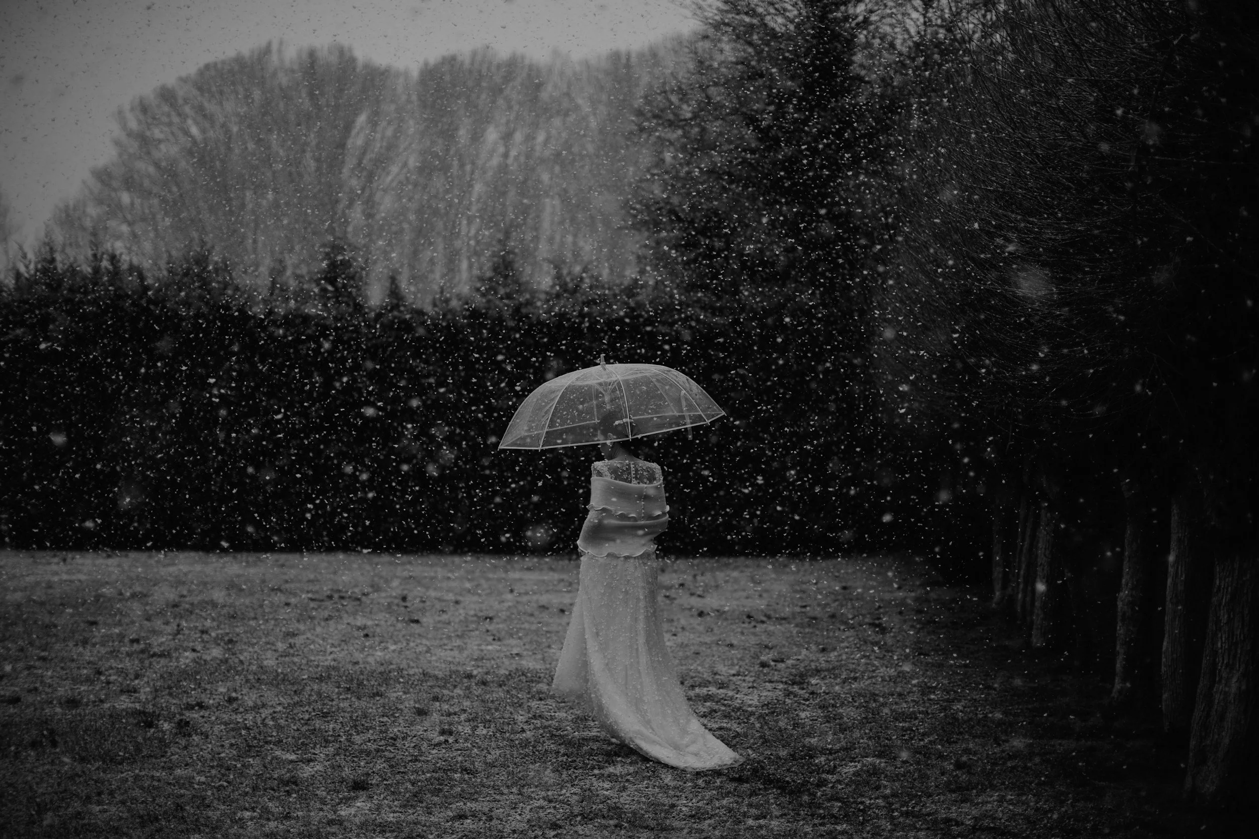 Winter Wedding Wonderland