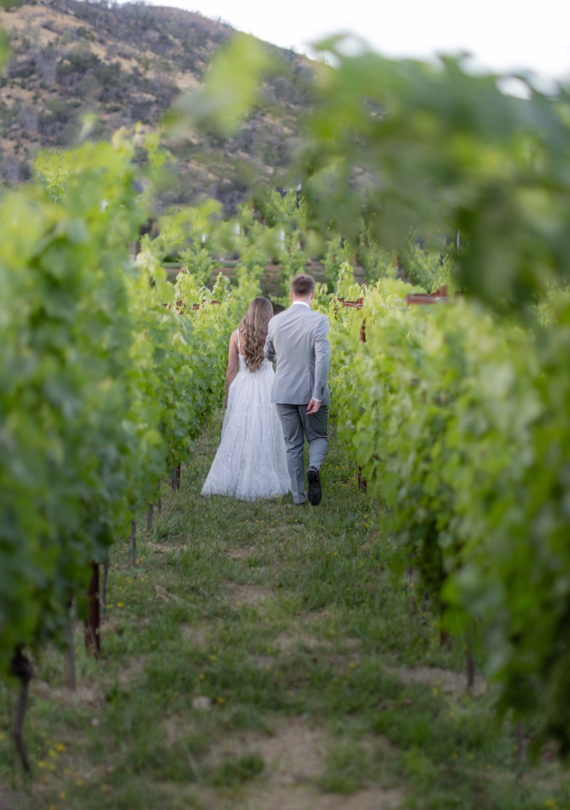 Cole Drake Events Napa Private Estate Wedding Beaulieu Garden Weddings 5.jpg