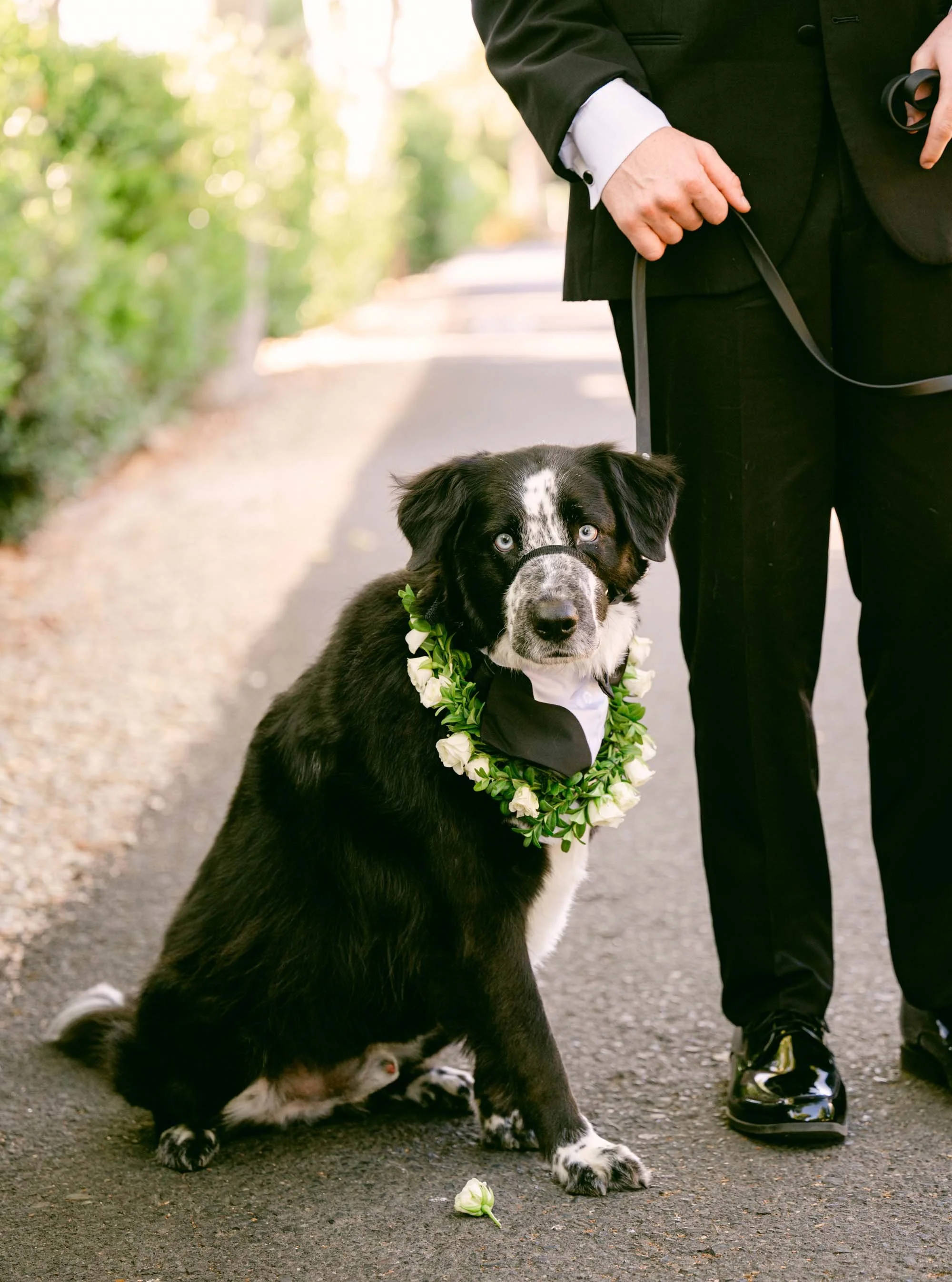 Cole Drake Events Napa Wedding Planners | Carneros Resort and Spa Weddings | Scott and Dana Photography | The Wild Fleur Floral Designer  3 (1).jpg