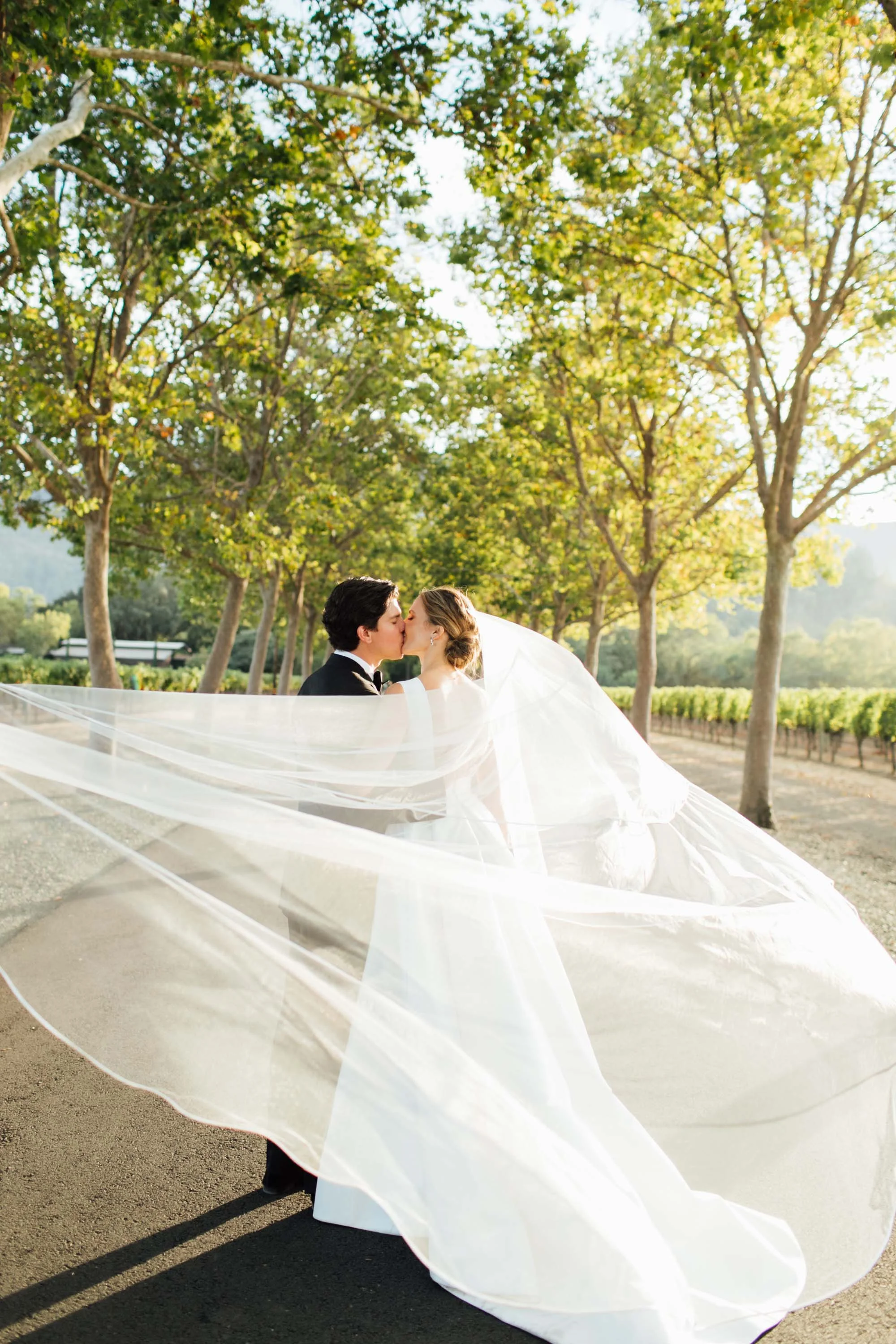 Cole Drake Events Beaulieu Gardens Weddings 9.jpg