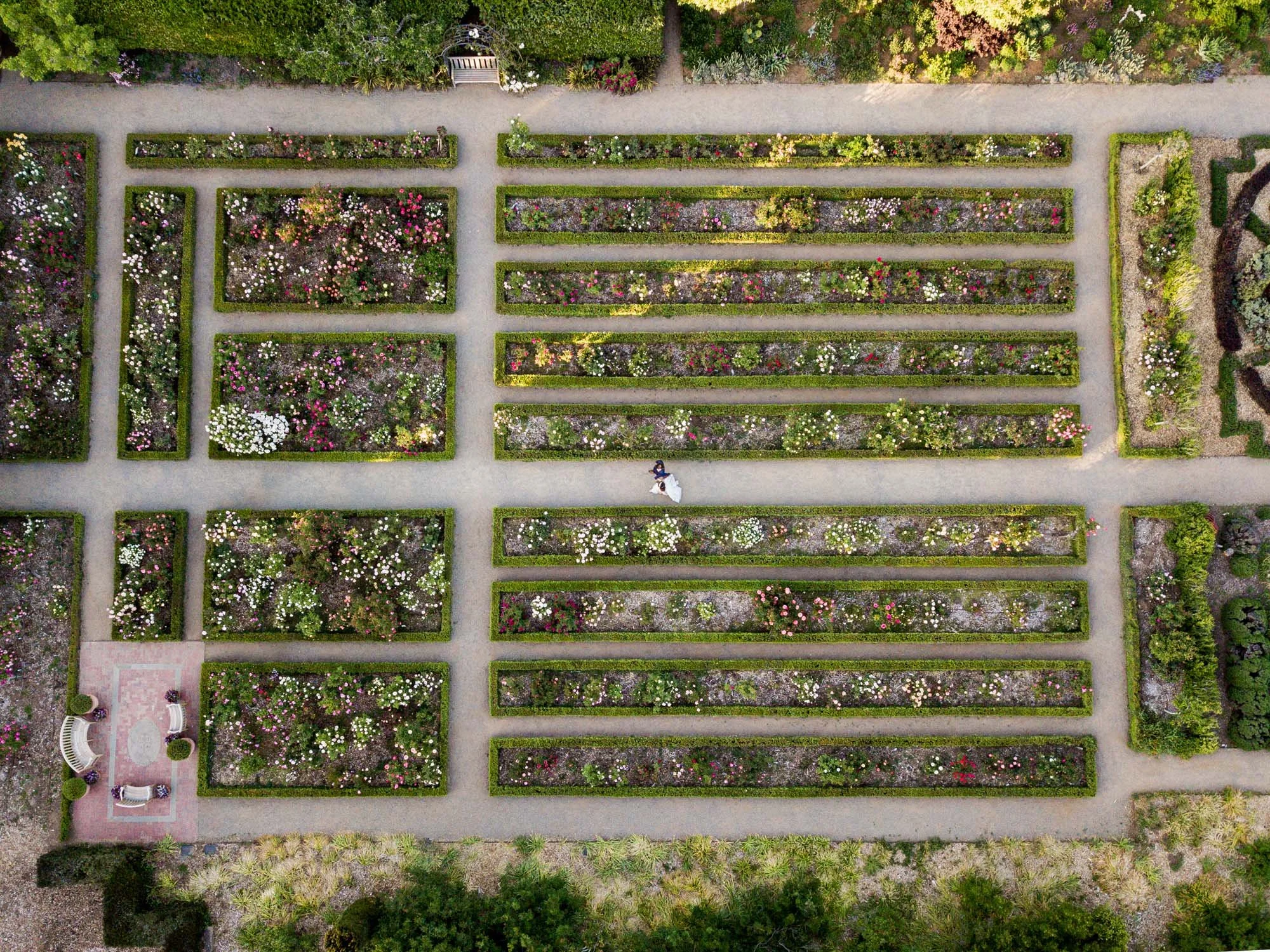 Cole Drake Events Napa Wedding Planners | Filoli Historic House Estate and Gardens Weddings | Larissa Cleveland Photo | Flowers by Edgar Floral Designer  5 (1).jpg