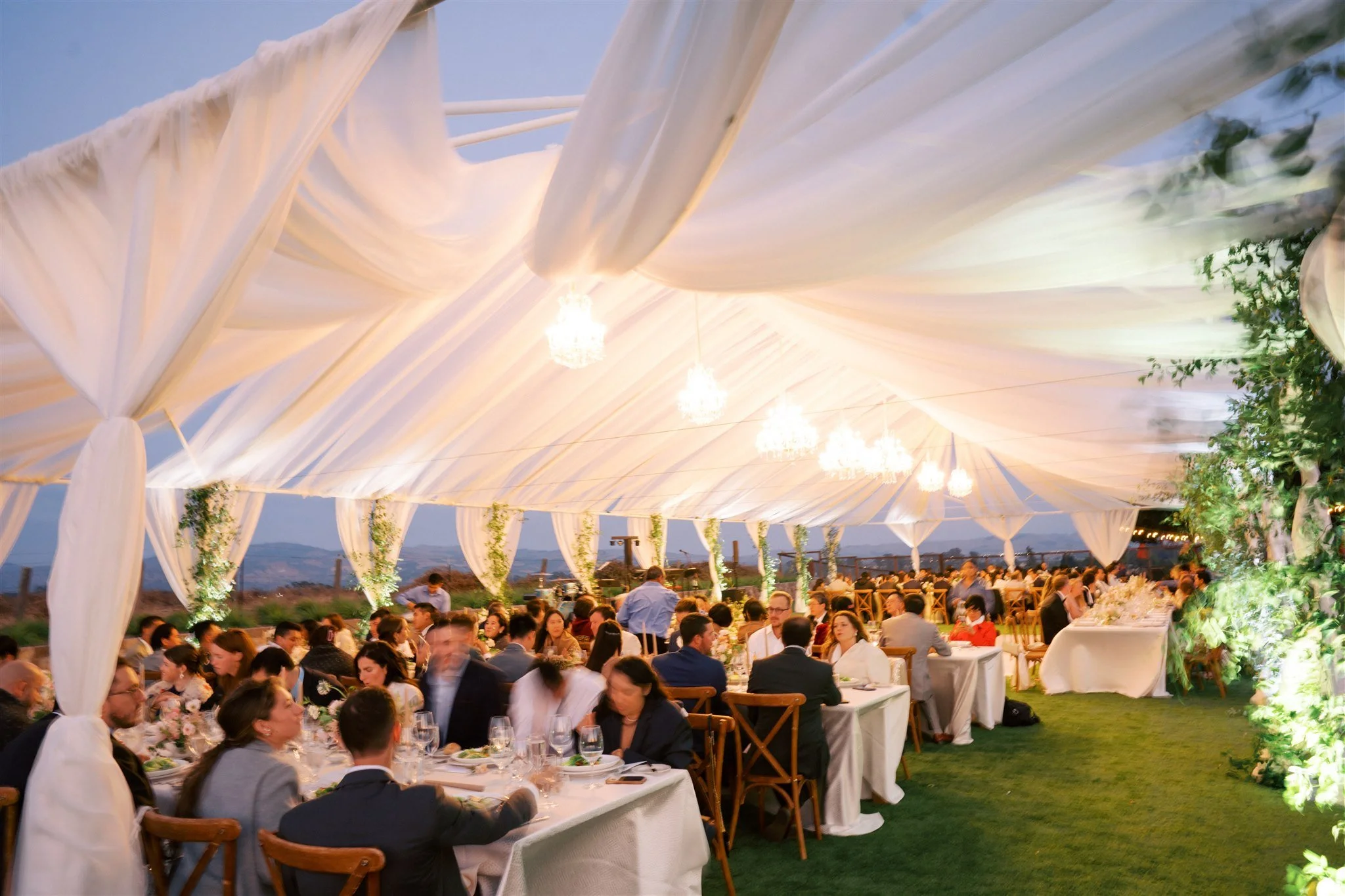 Cole Drake Events Napa Wedding Planners | Carneros Resort and Spa Weddings | Willow and Ben Photography | Flower Girl Em Floral Designer  5.jpg
