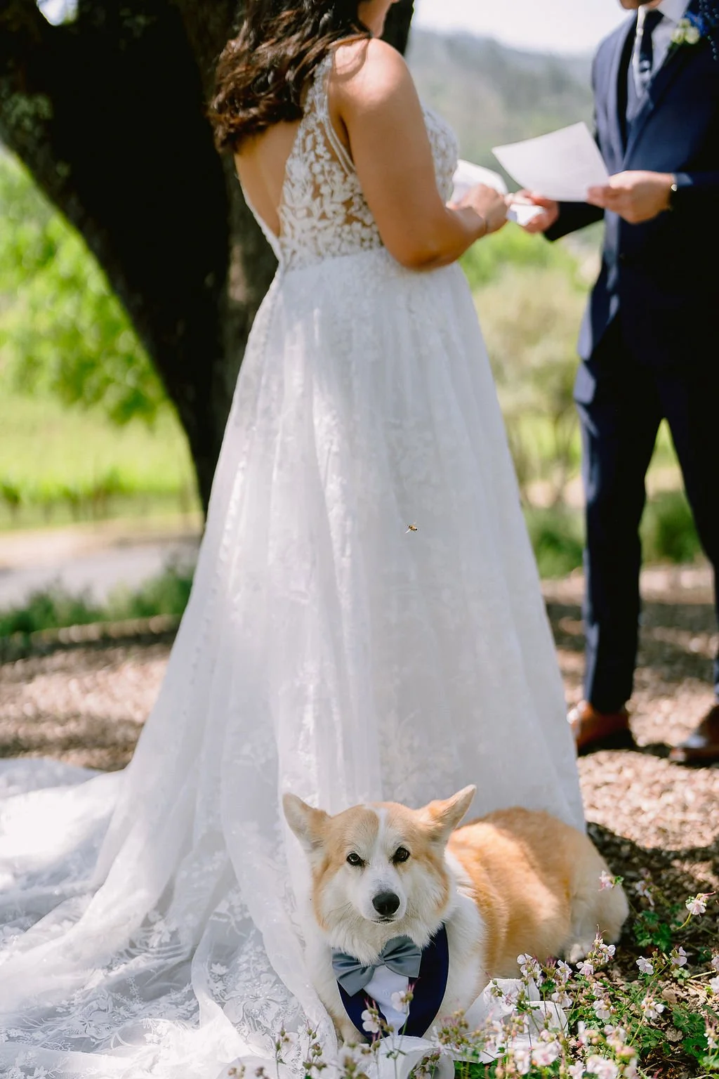Cole Drake Events Napa Private Estate Wedding Planner 4 (4).jpg