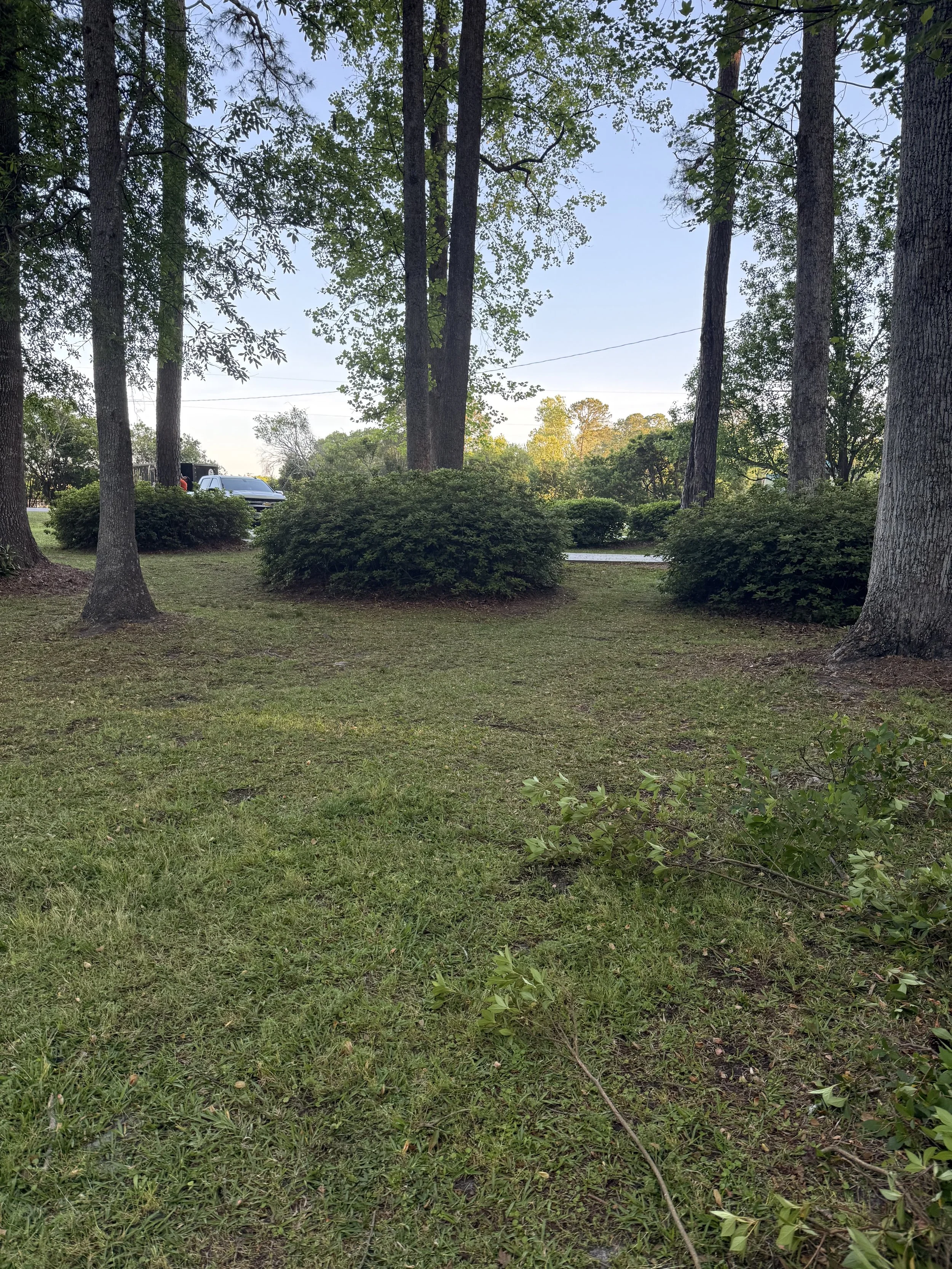 IMG_0070.jpeg