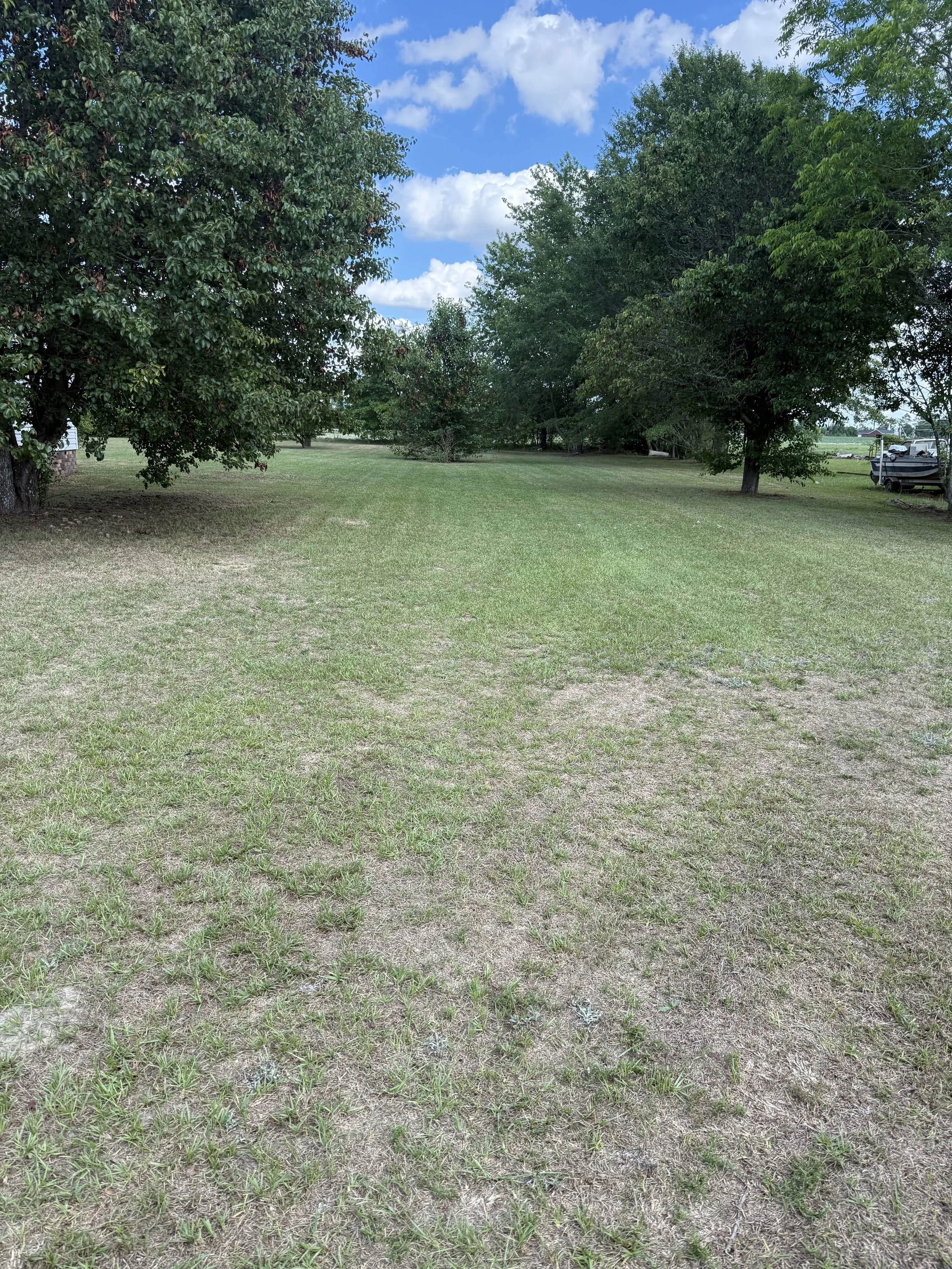 IMG_0253.jpeg