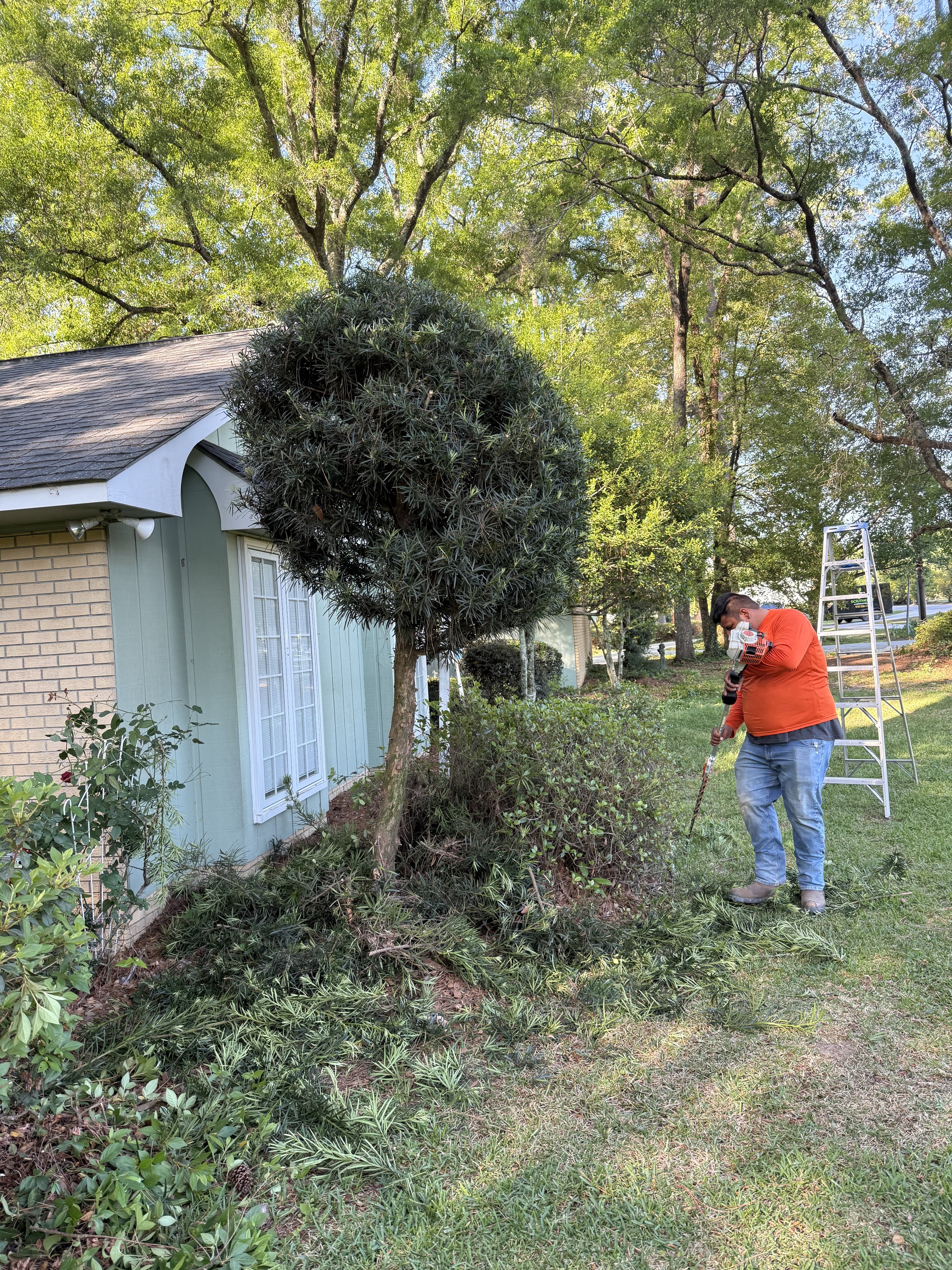 Trimming