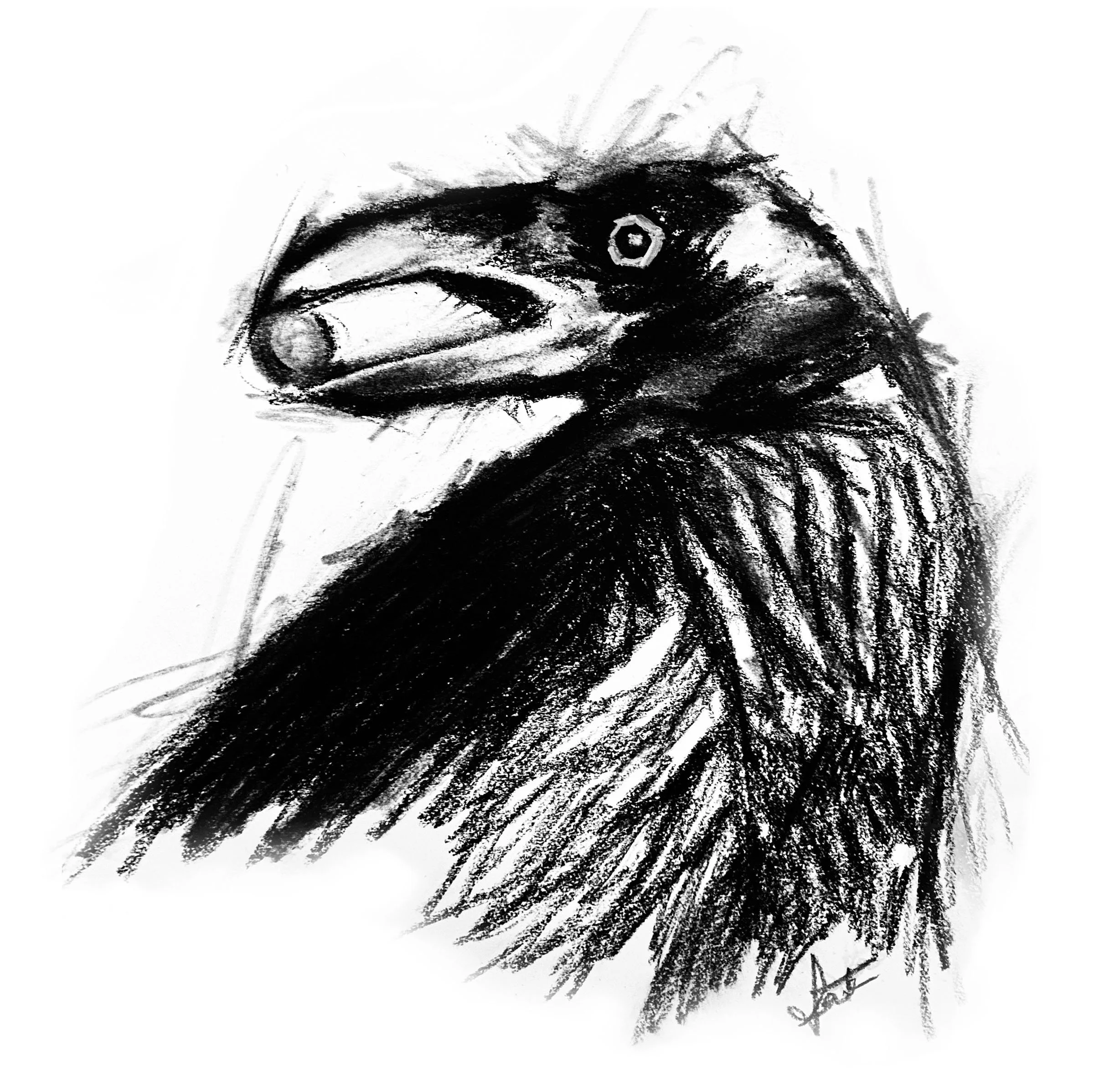 Crow Magic3.jpg