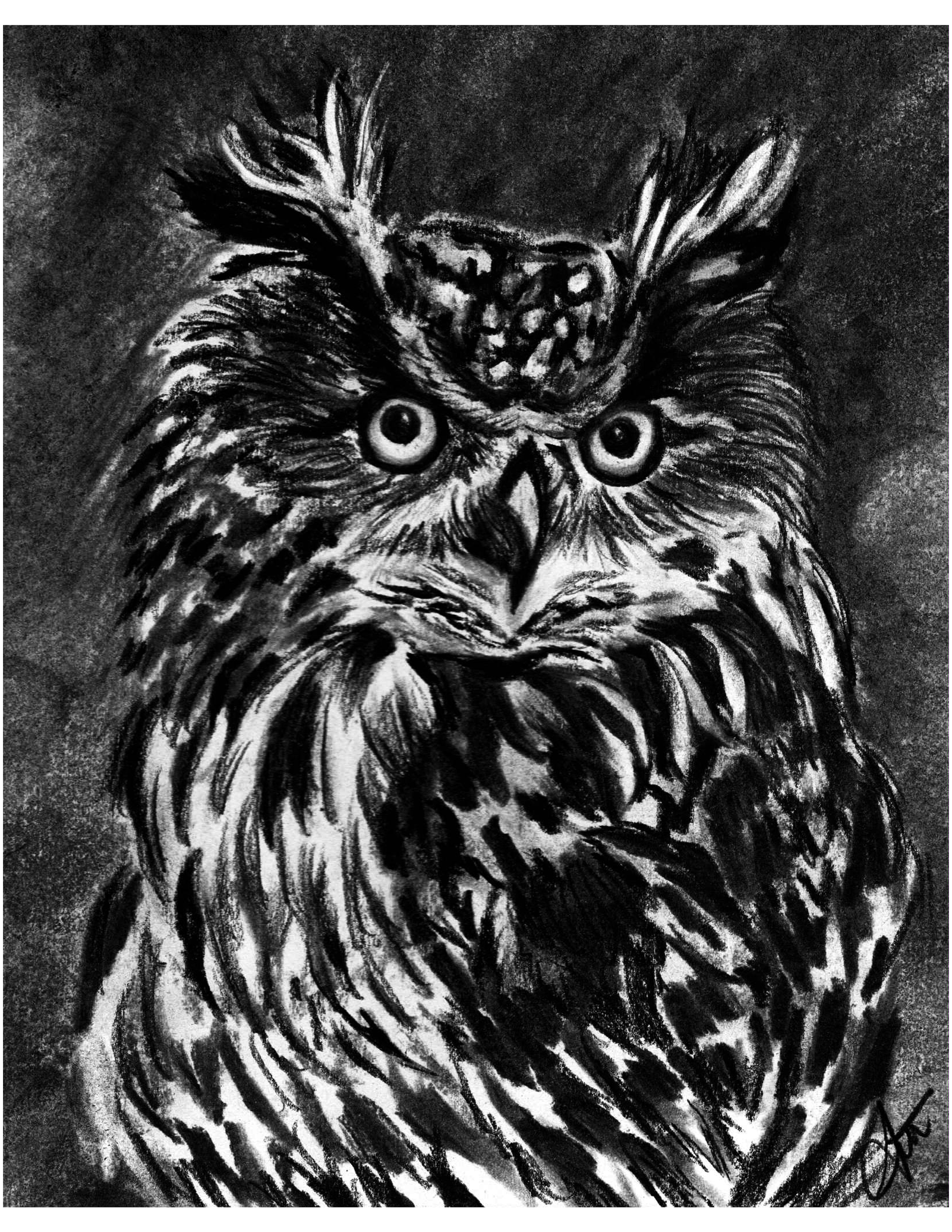 Owl for wine.png