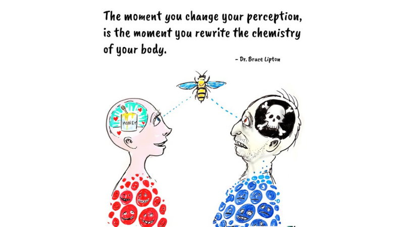 A Shift in Perception