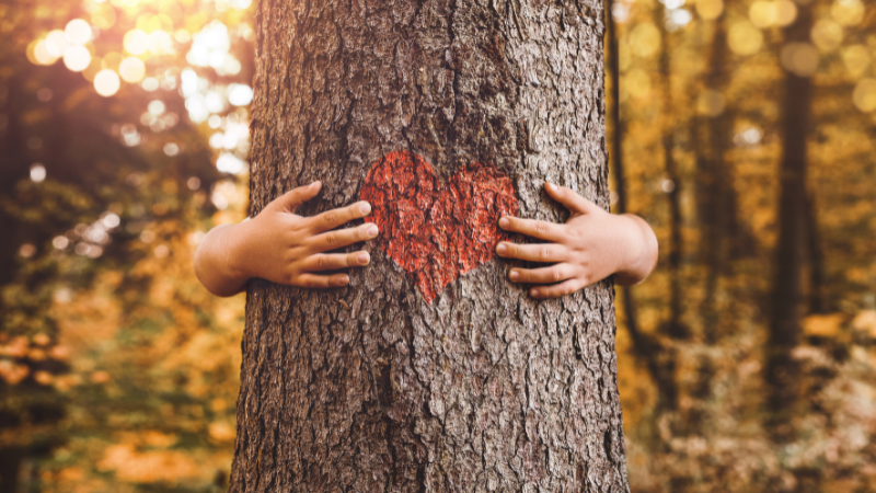 Emotions: We can love them or hate them