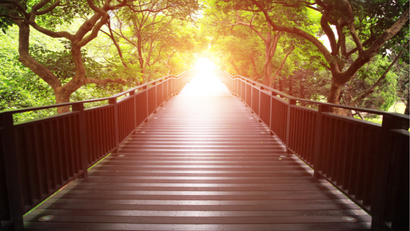 The Gift of Mistakes and the Path to Courage