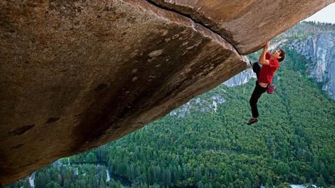 Balancing Food and Fear