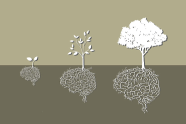Shrinking Thinking