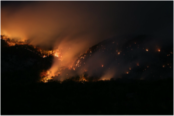 A Thanksgiving Reflection On Fire