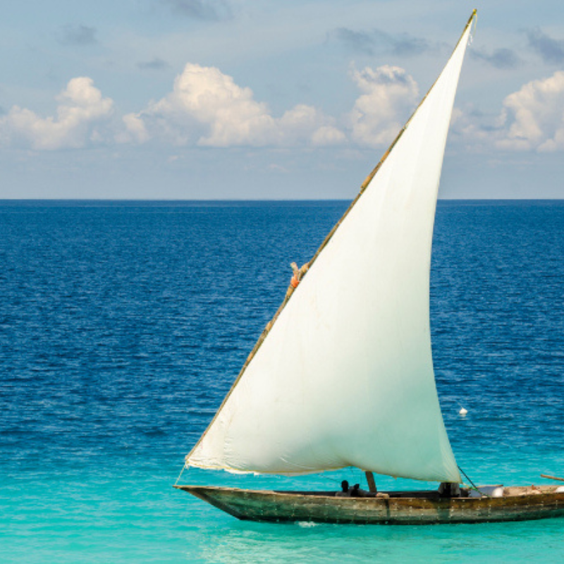Sailboats and Moments of Transcendence