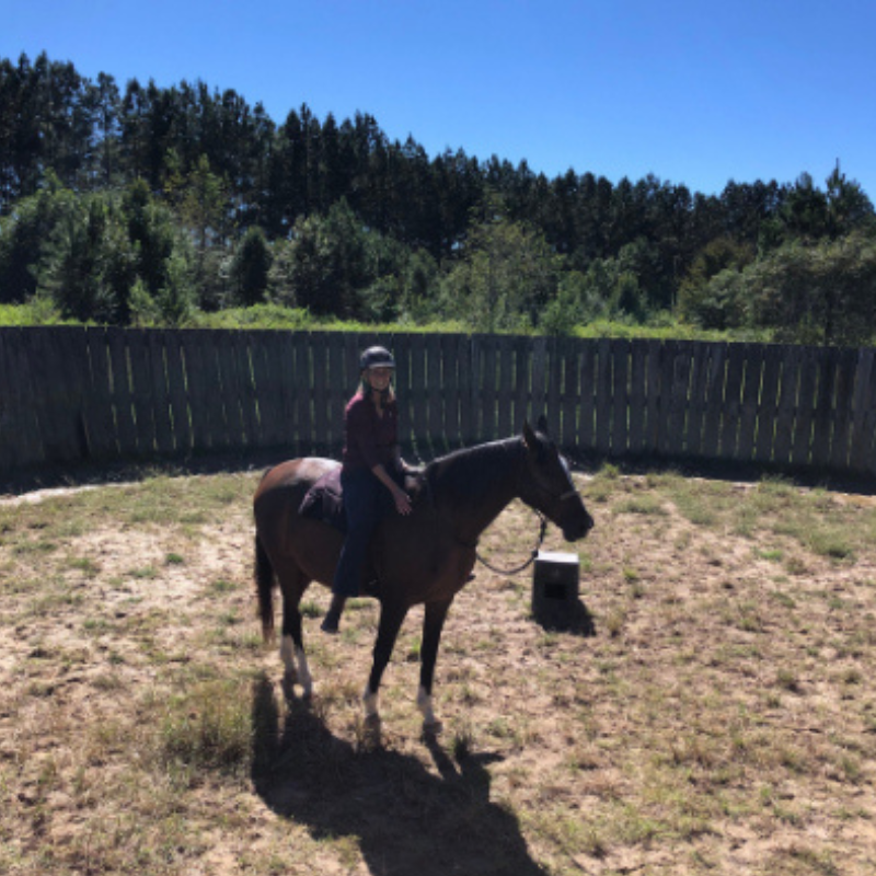 And Yes, I Got Back on the Horse!