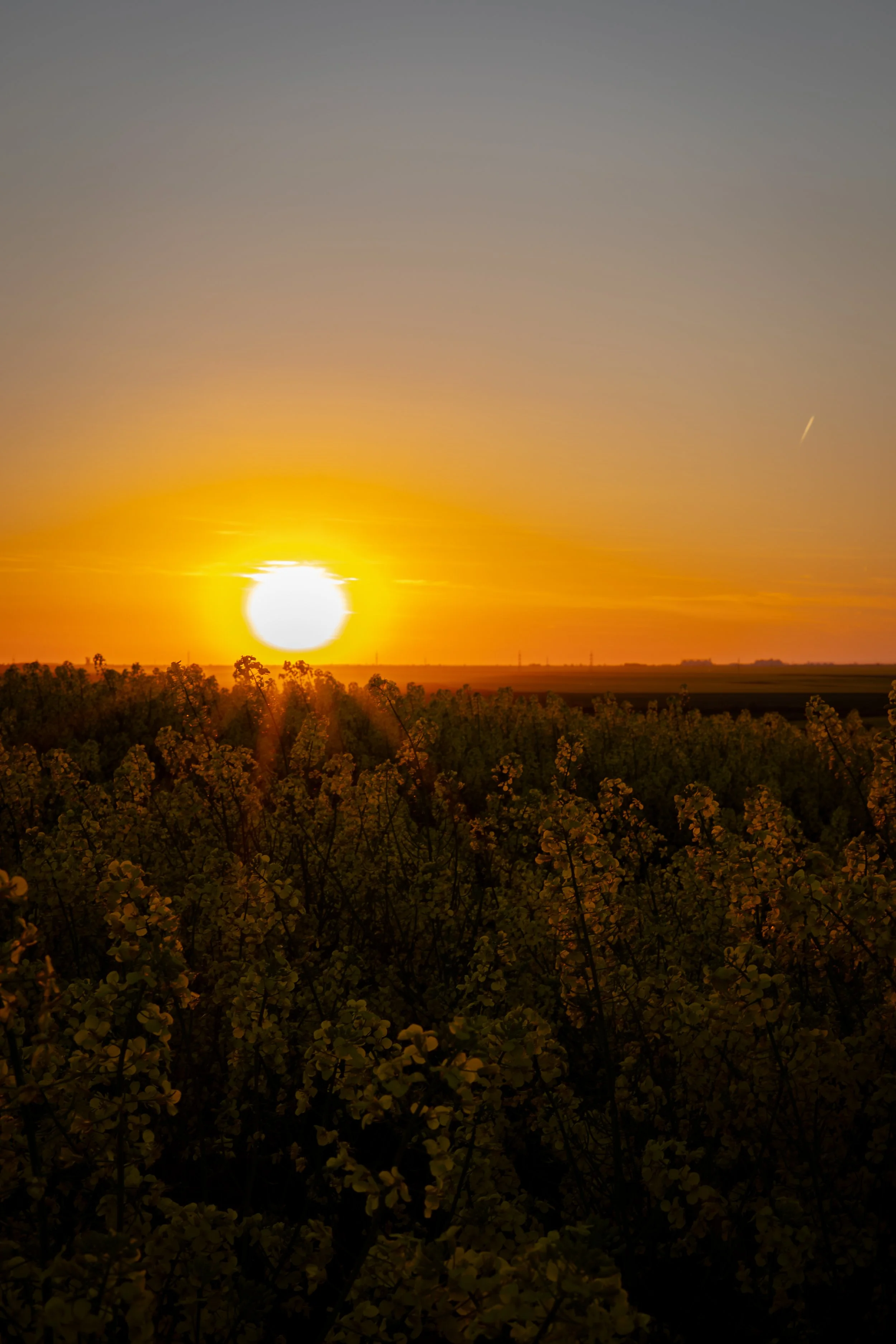 4W1A9189.jpg