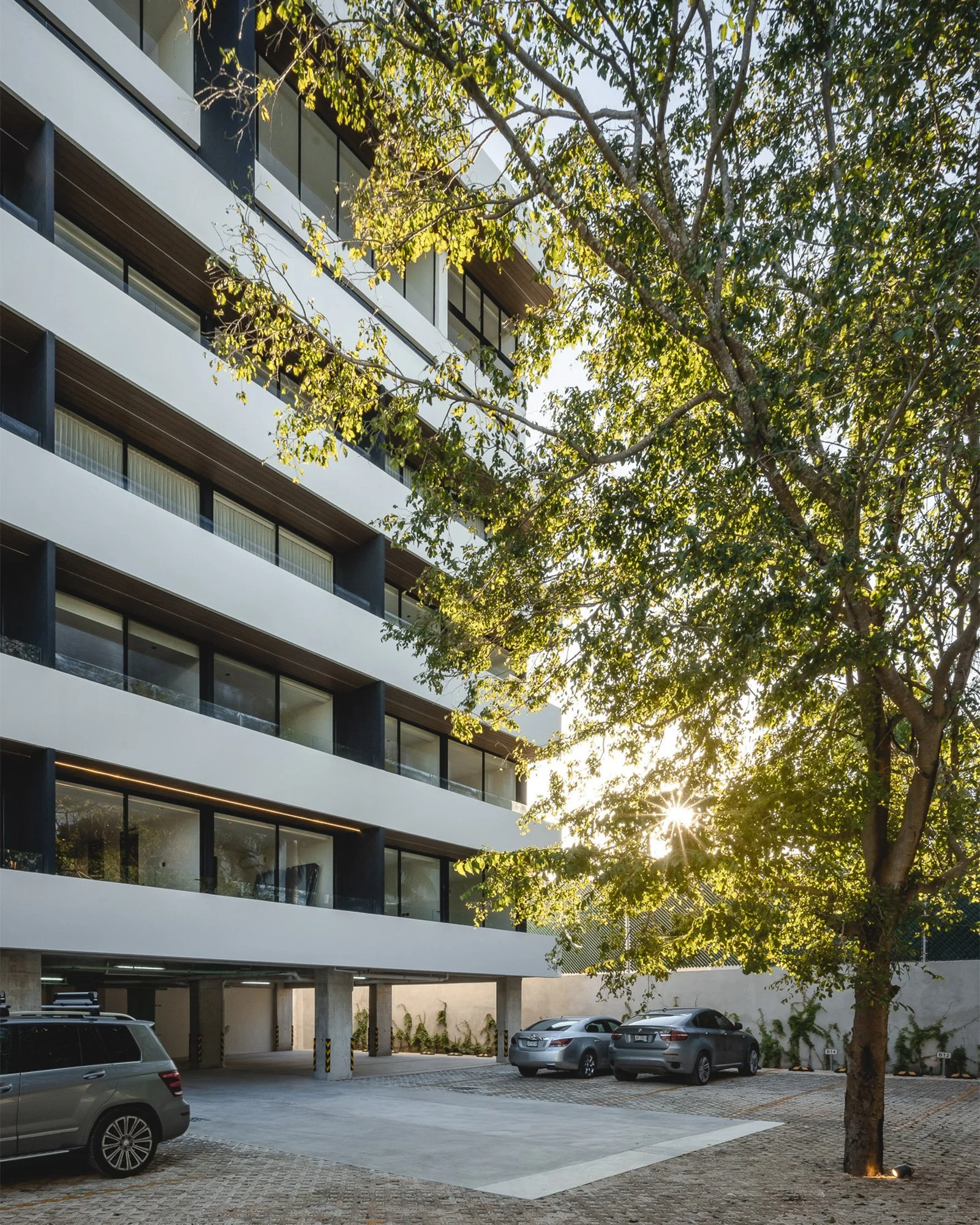 Edificio moderno con varias plantas, vista desde el estacionamiento con varios autos, árboles con hojas verdes y sol brillando en el fondo.