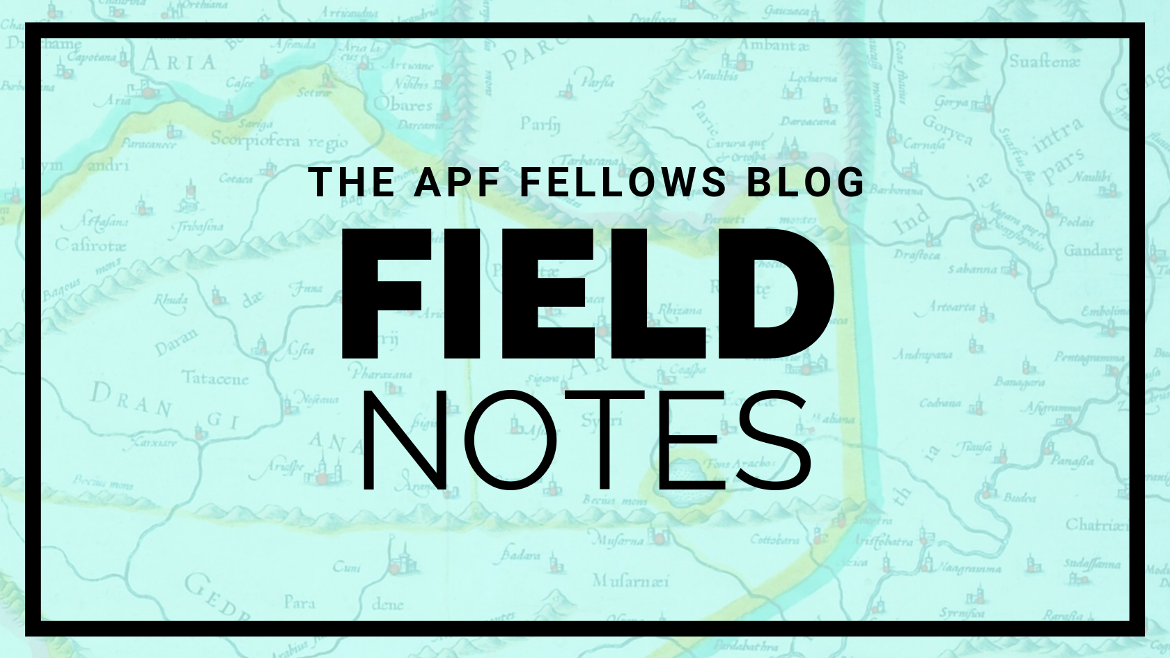 APF Fellows Blog Header-3.png