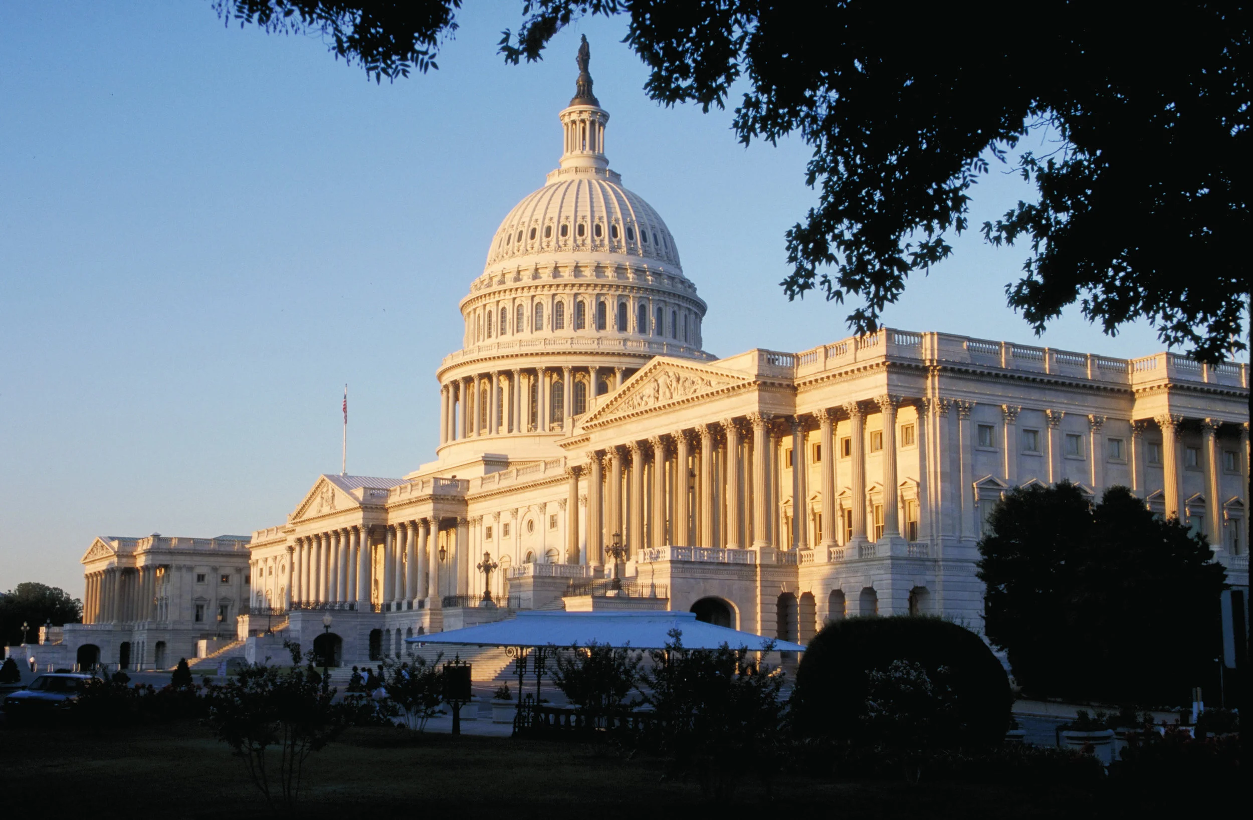 APF Internships in DC and United Nations