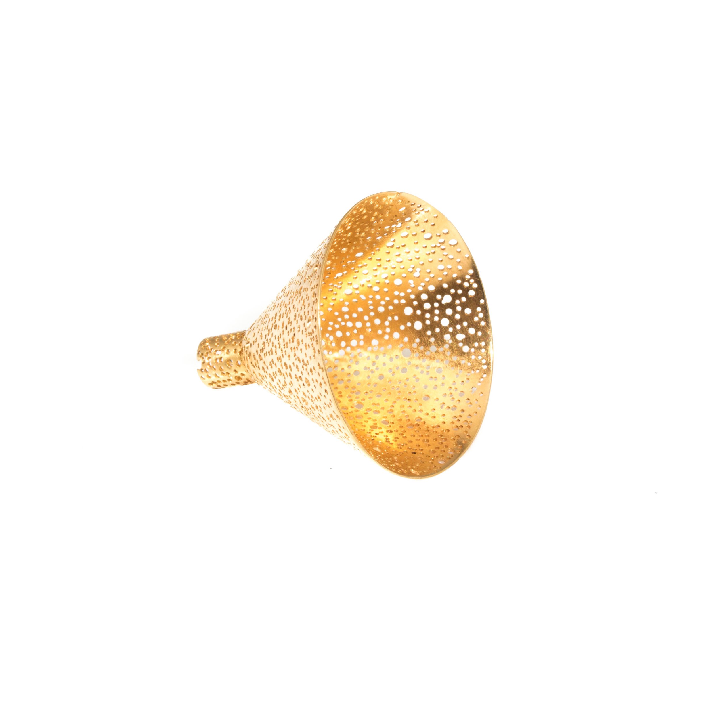 Golden Funnel, 2008