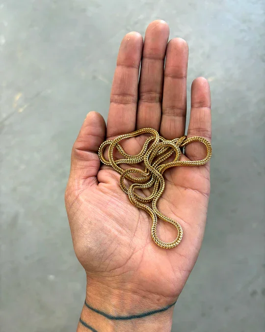 A hand holding a gold snake-shaped chain against a plain background.