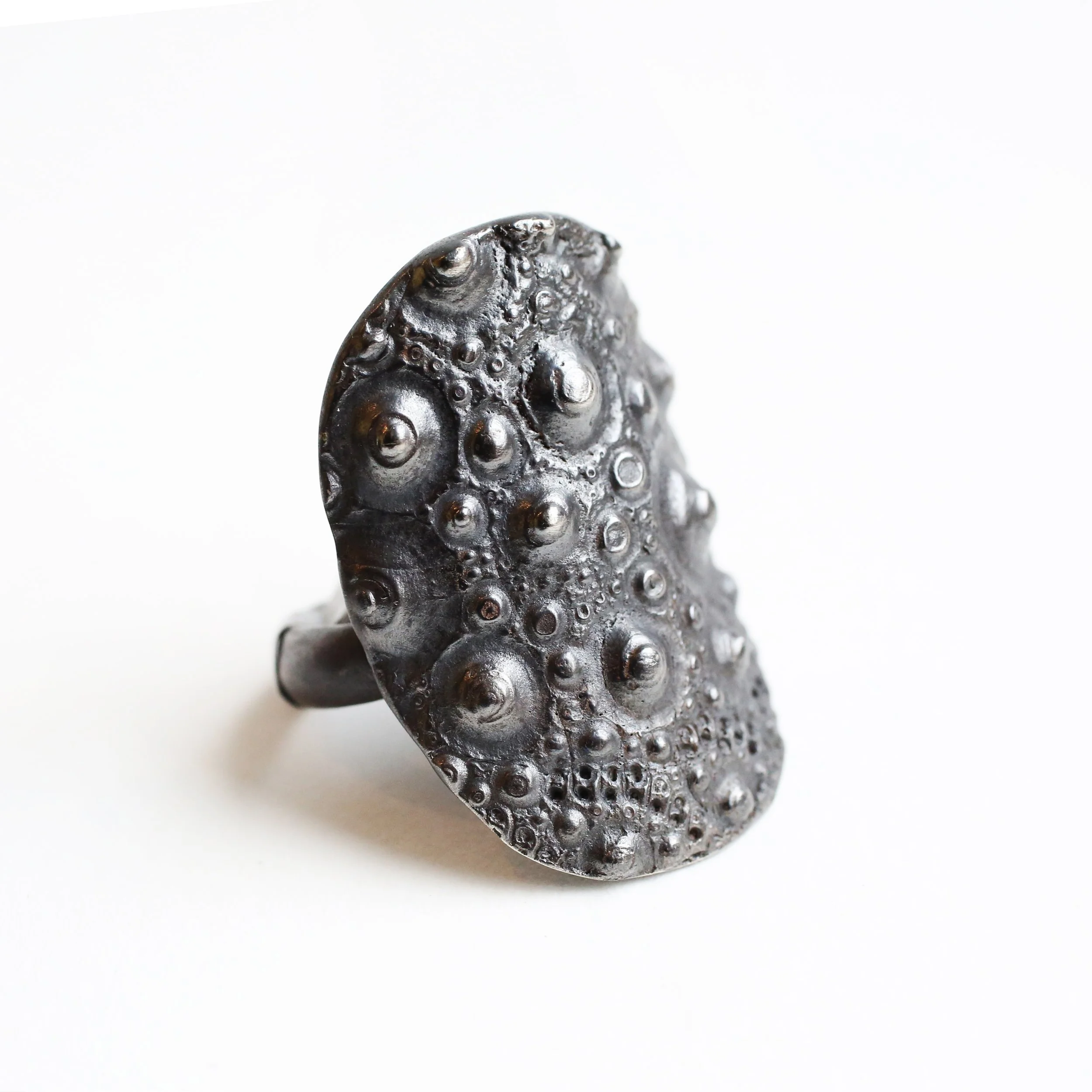 Sea urchin shied ring