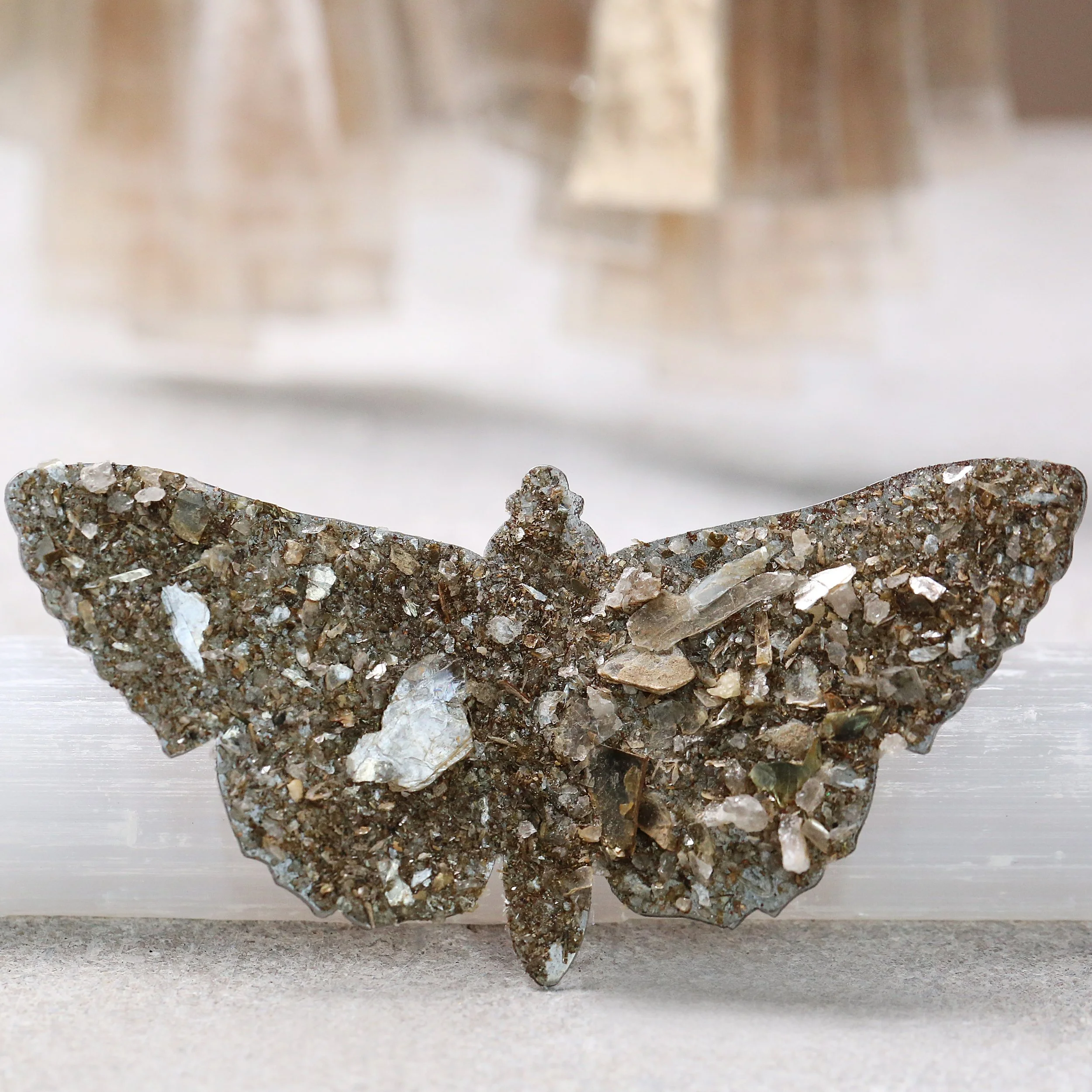 Mica encrusted moth