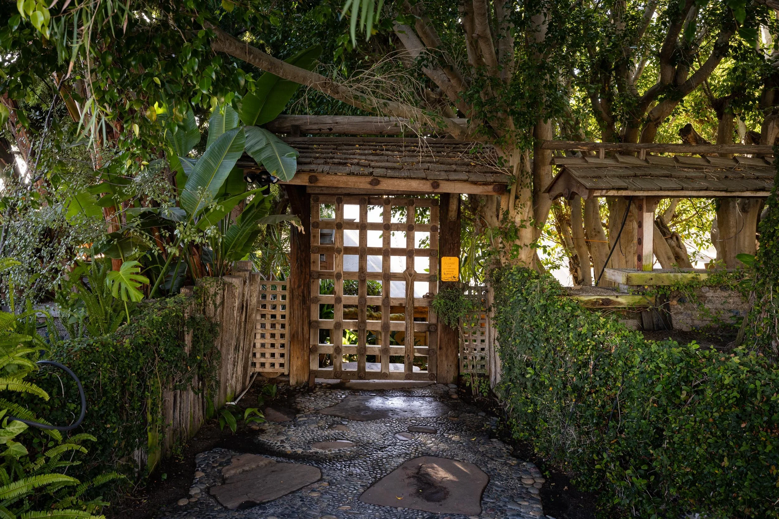 353 Glenmont Dr - WEB + MED RES-45.jpg