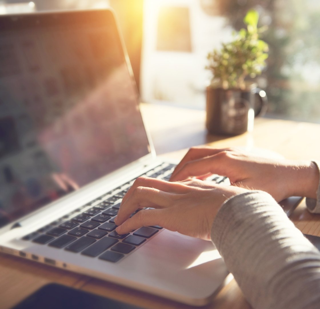 Person typing on a laptop keyboard with sunlight streaming in, a potted plant in the background.