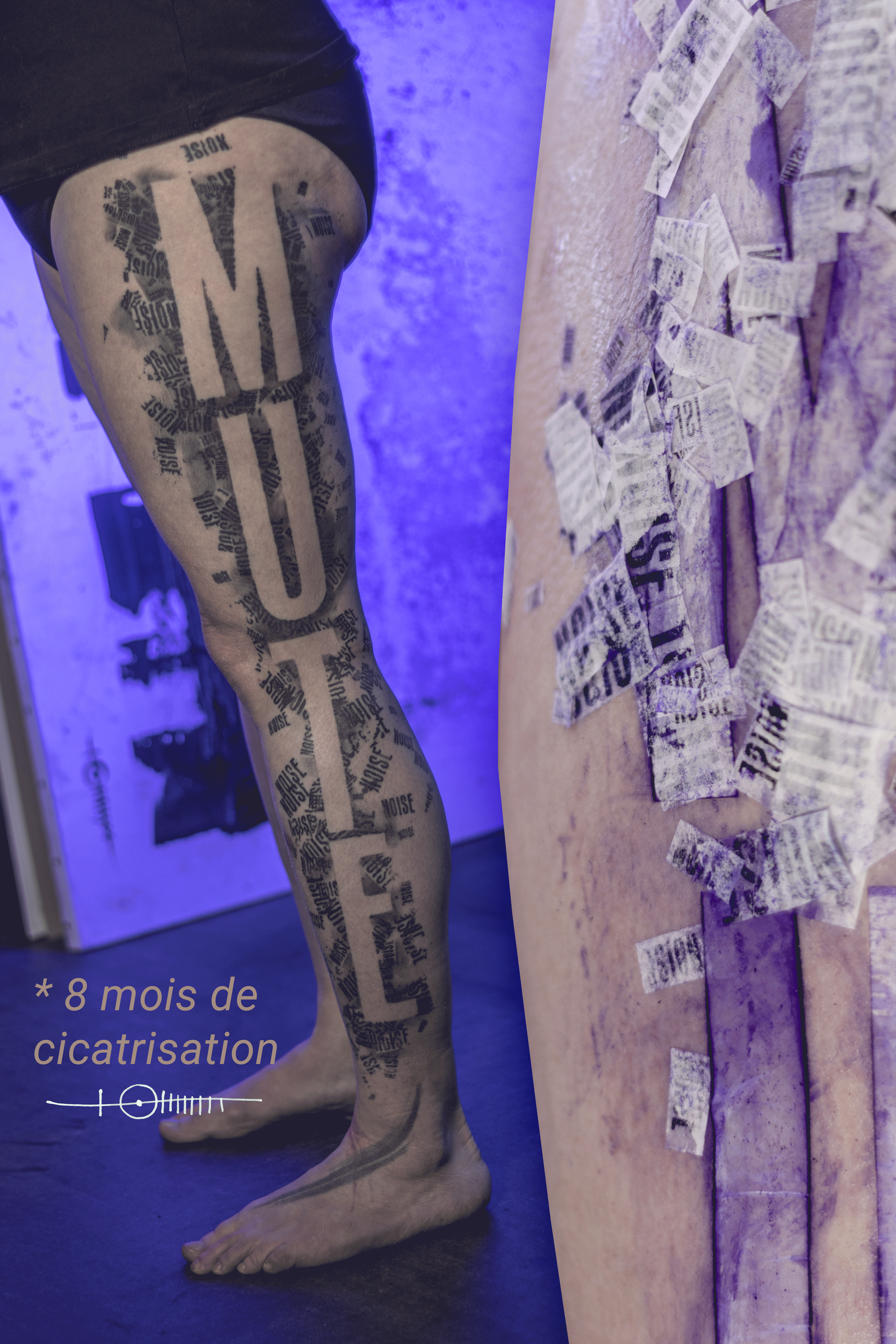 mute-noise-cicatrisation.png